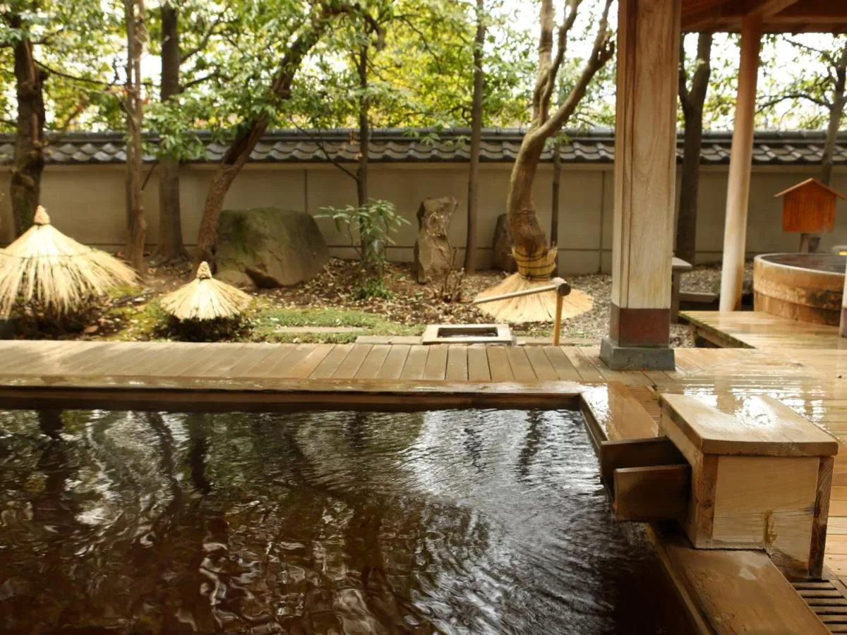Hot Spring Bath in Hotel Saginoyu