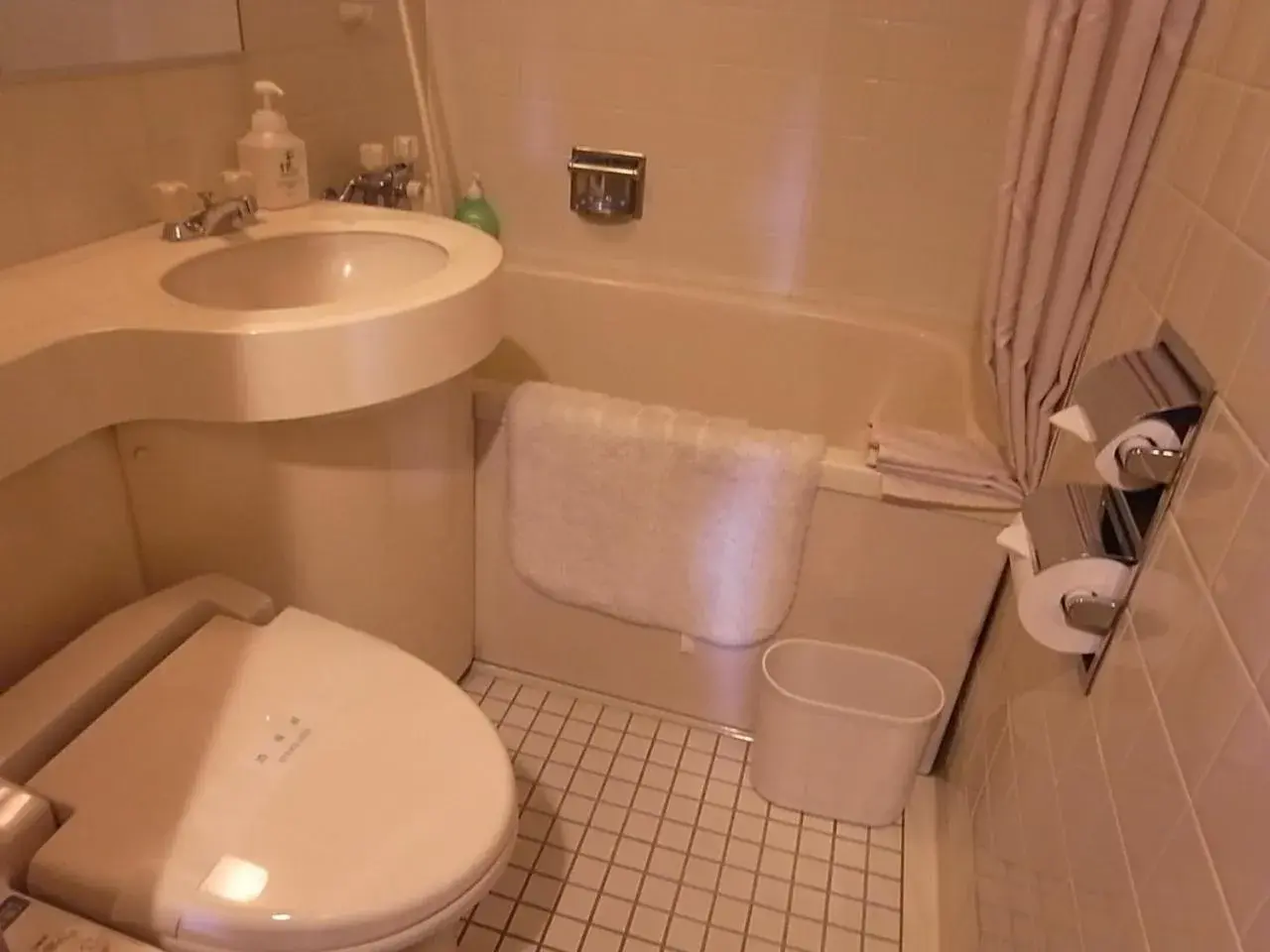 Toilet in Hotel Saginoyu Toilet in Hotel Saginoyu