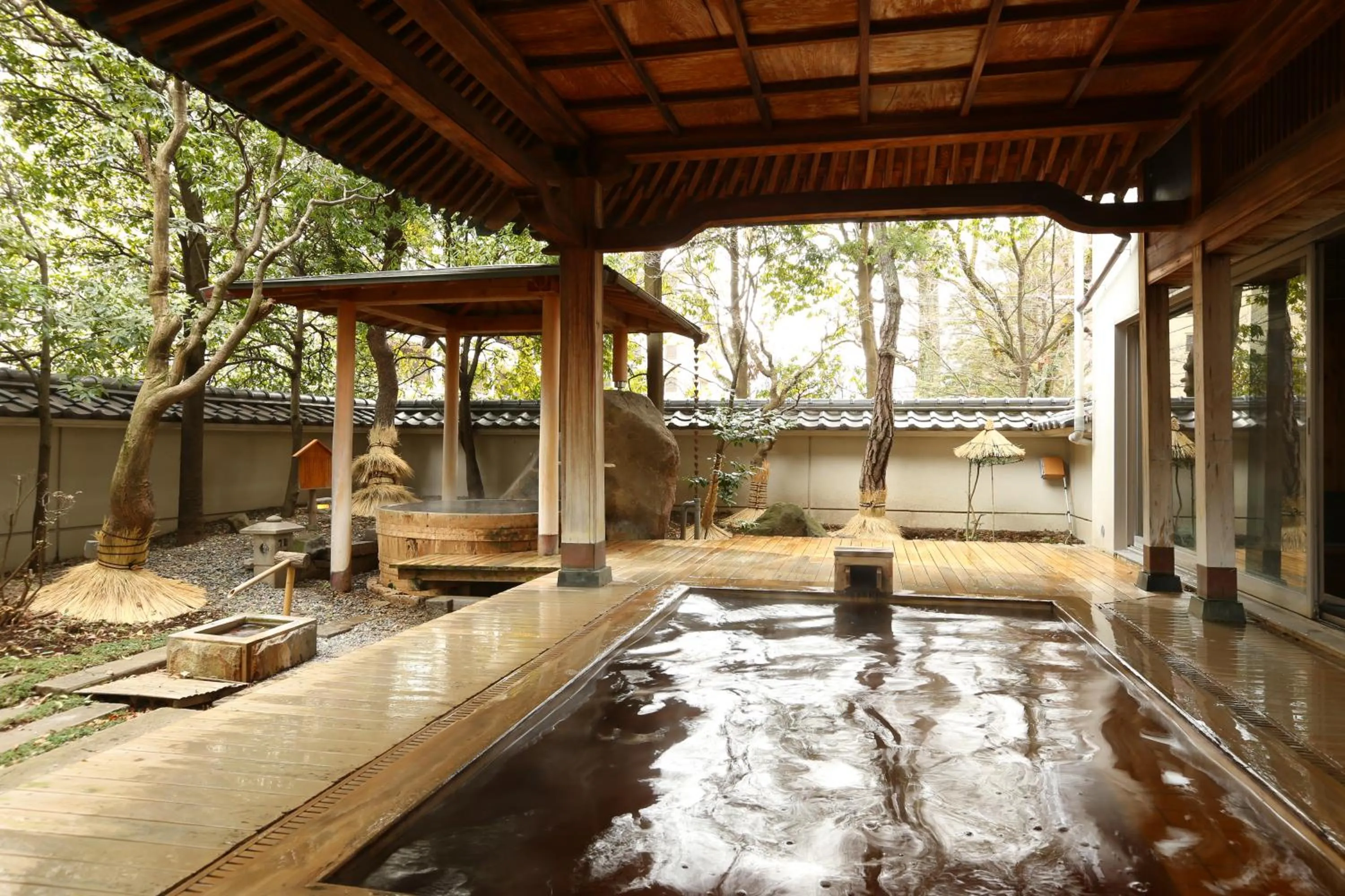 Hot Spring Bath in Hotel Saginoyu