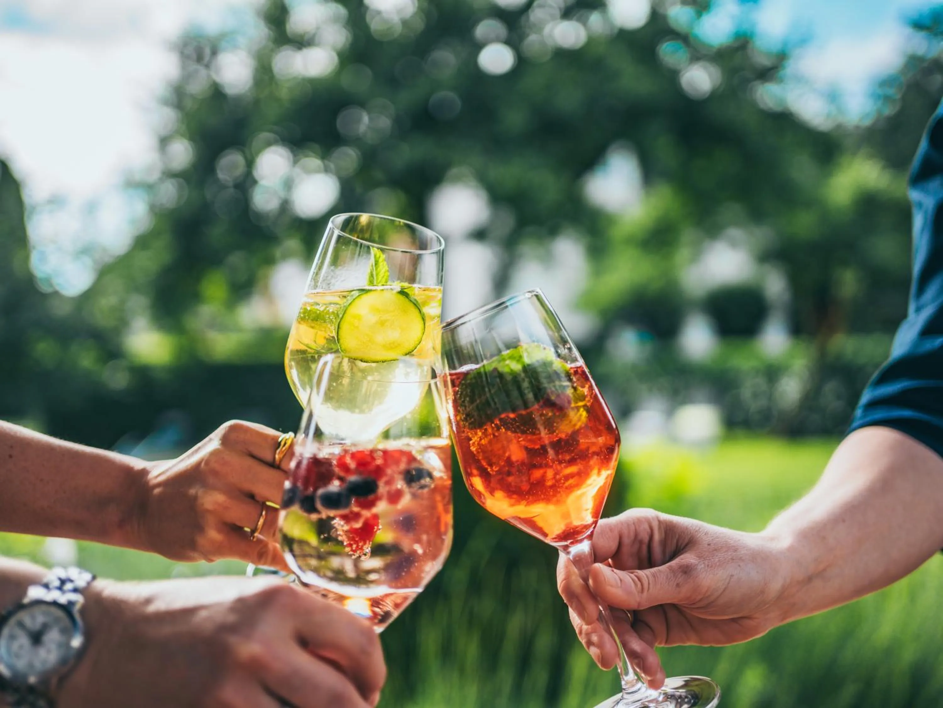 Garden in Kurhotel Drei Birken