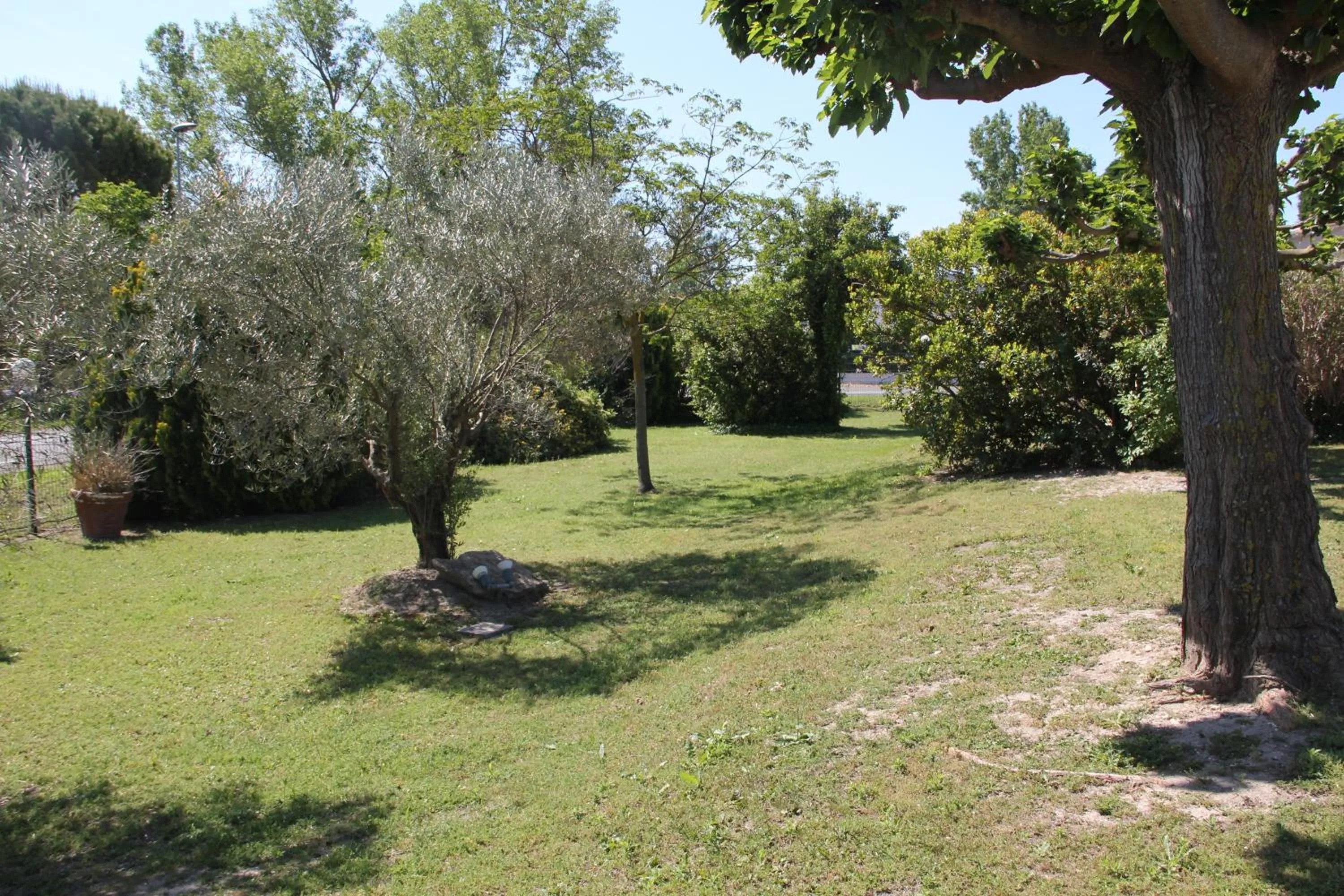 Garden in Hôtel Saint Louis