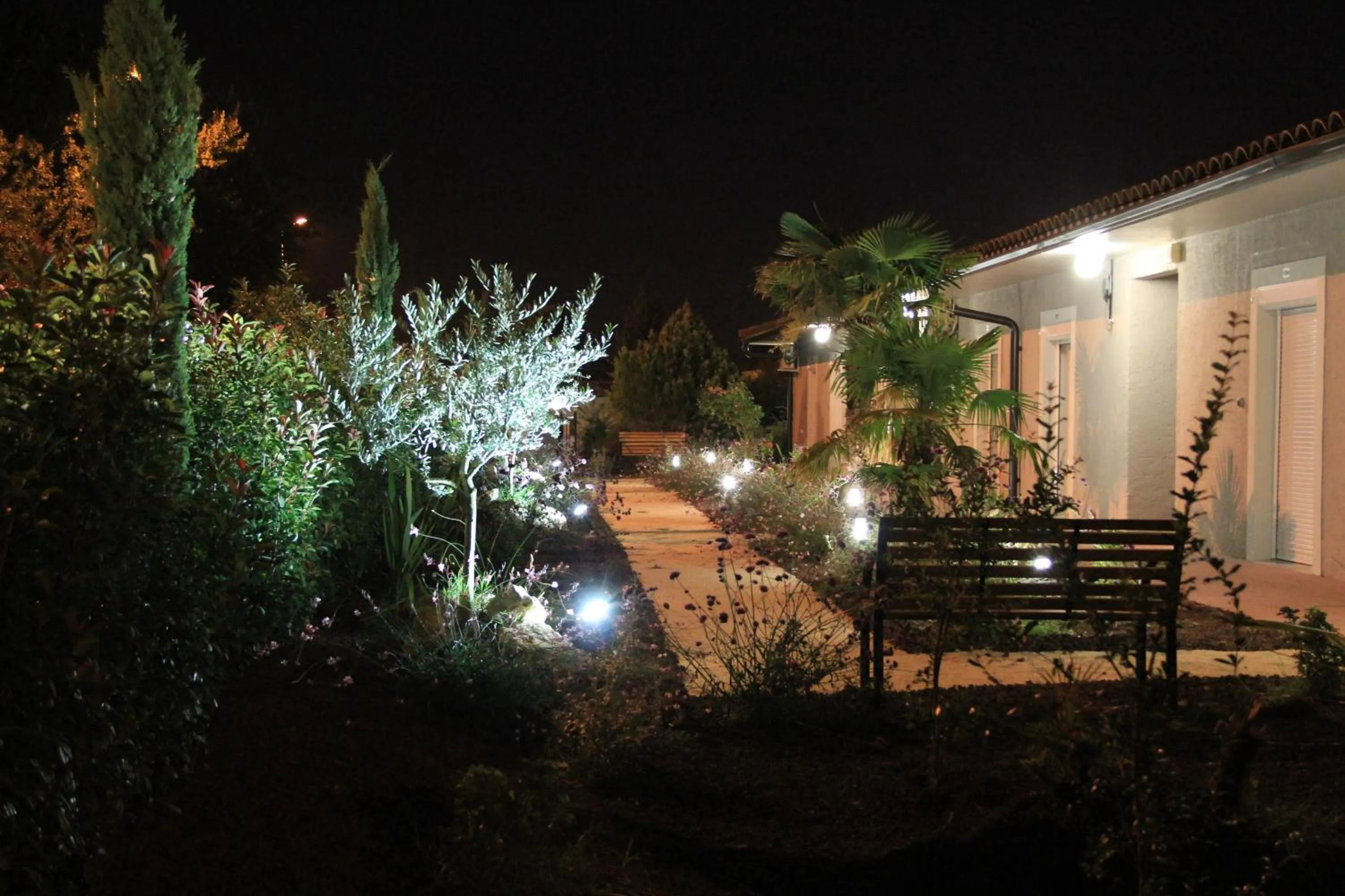 Garden in Hôtel Saint Louis