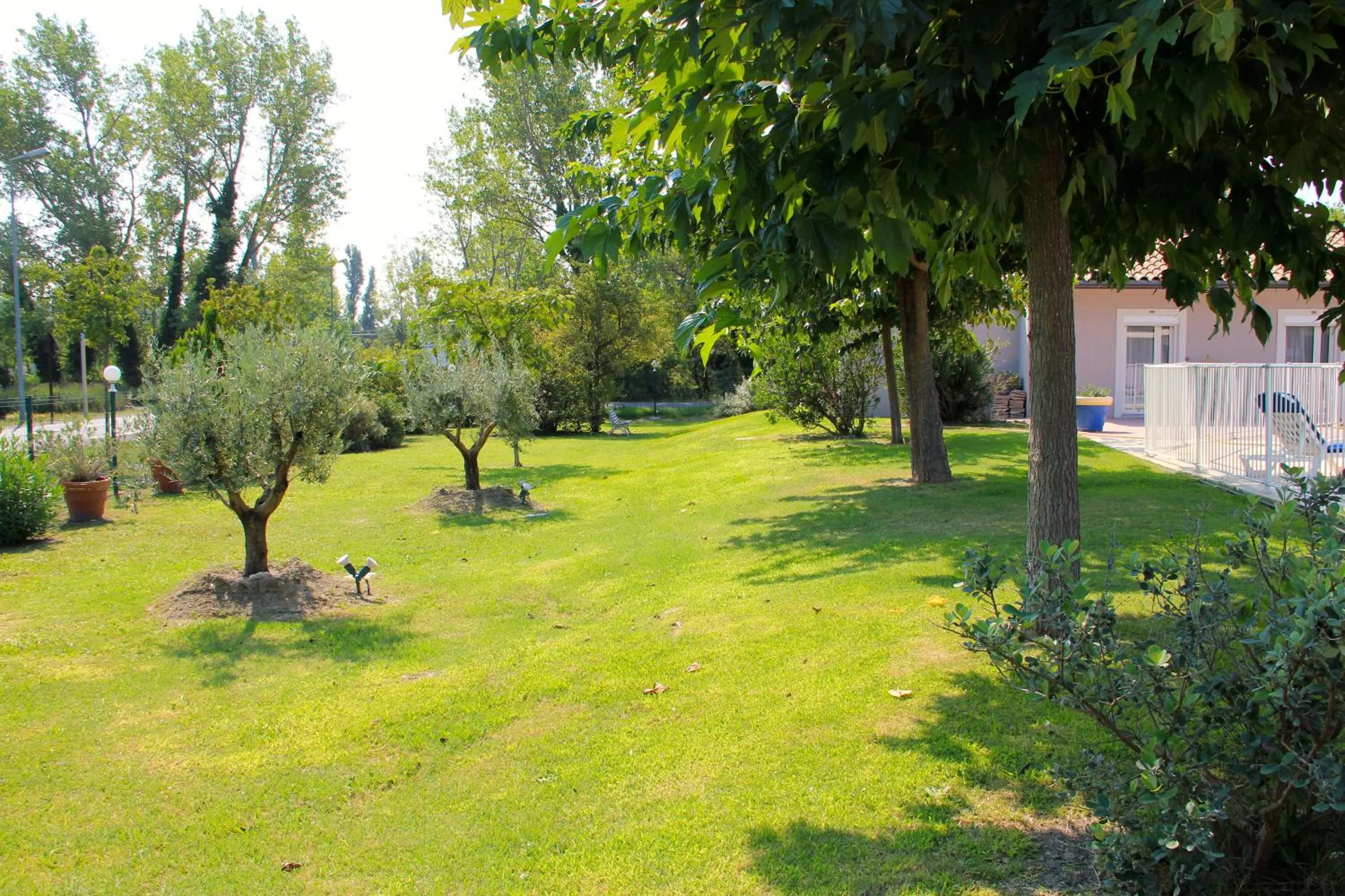 Garden in Hôtel Saint Louis