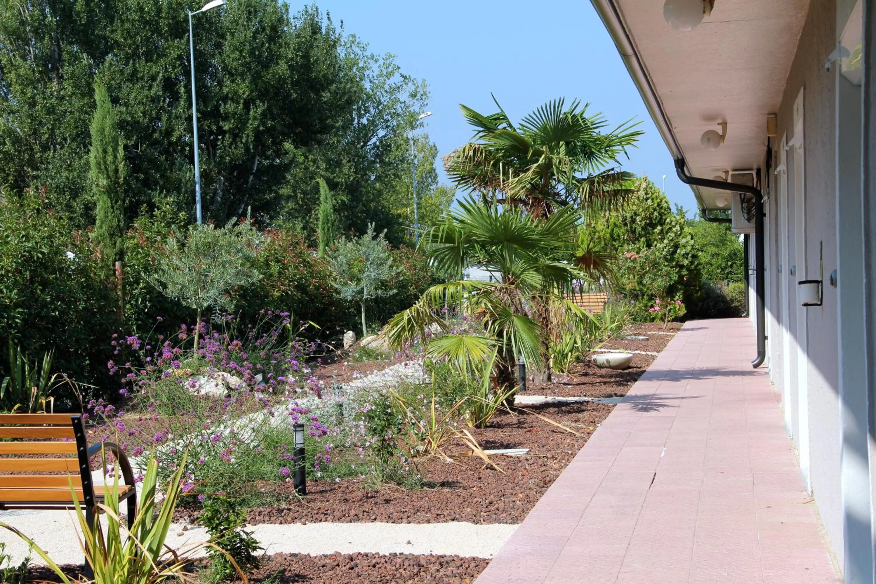 Garden in Hôtel Saint Louis