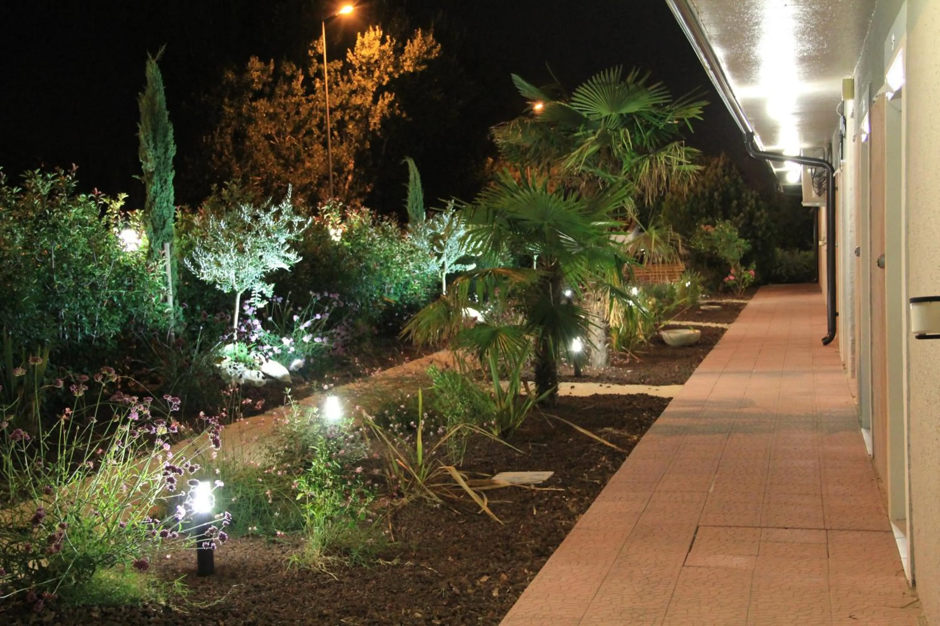 Garden in Hôtel Saint Louis