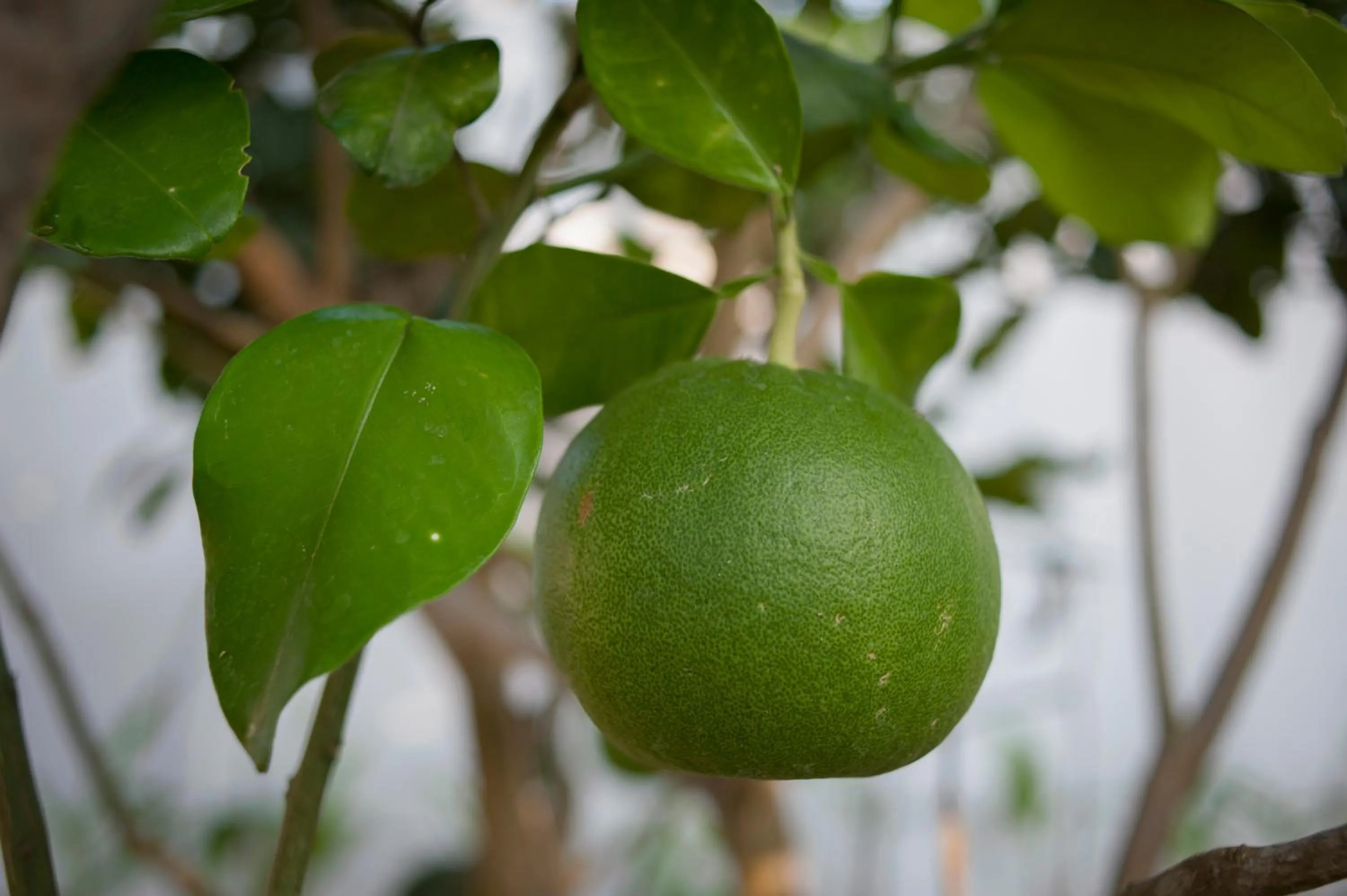 Property building in An Bang Golden Beach Villa