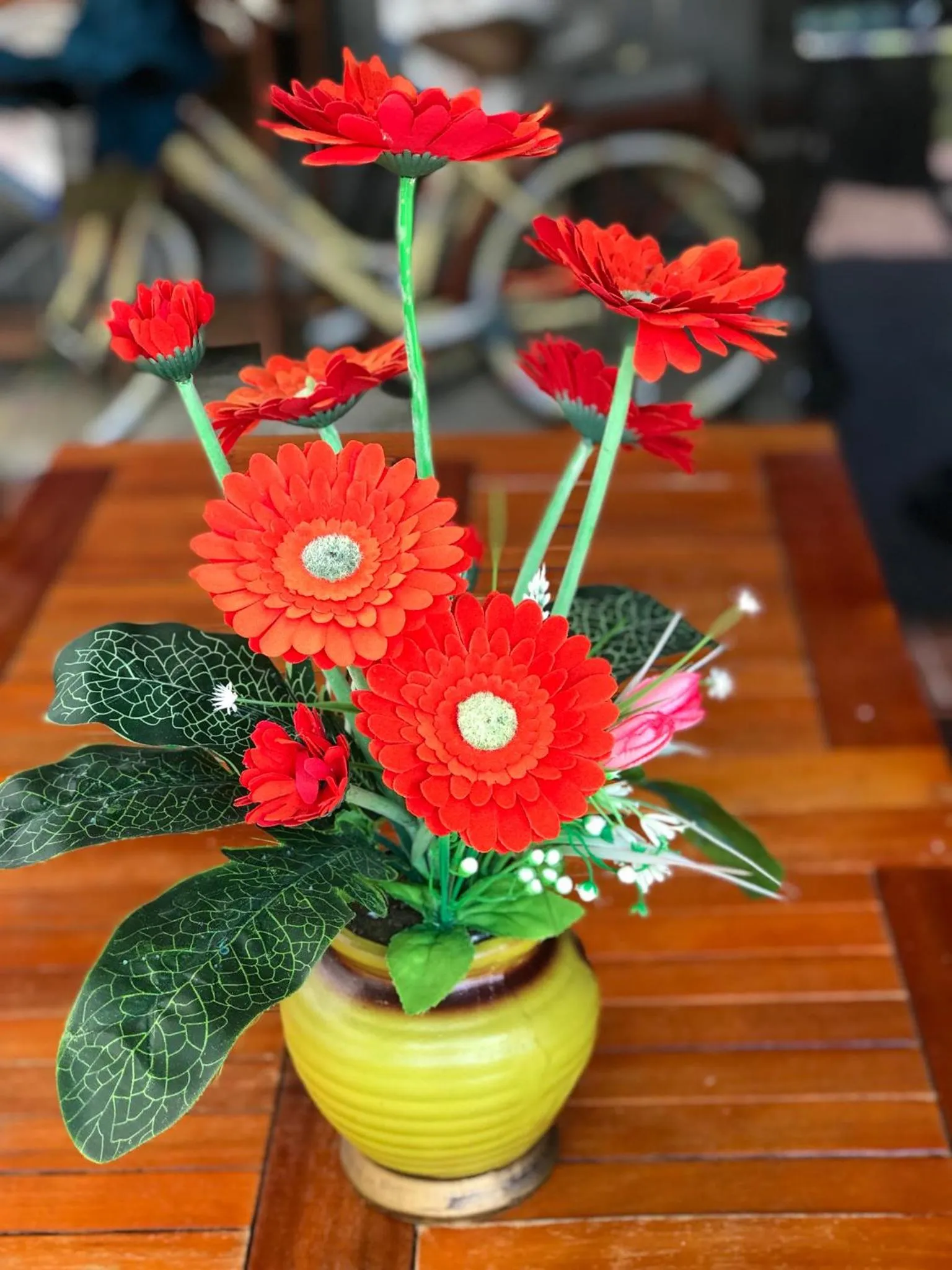 Photo of the whole room in An Bang Golden Beach Villa