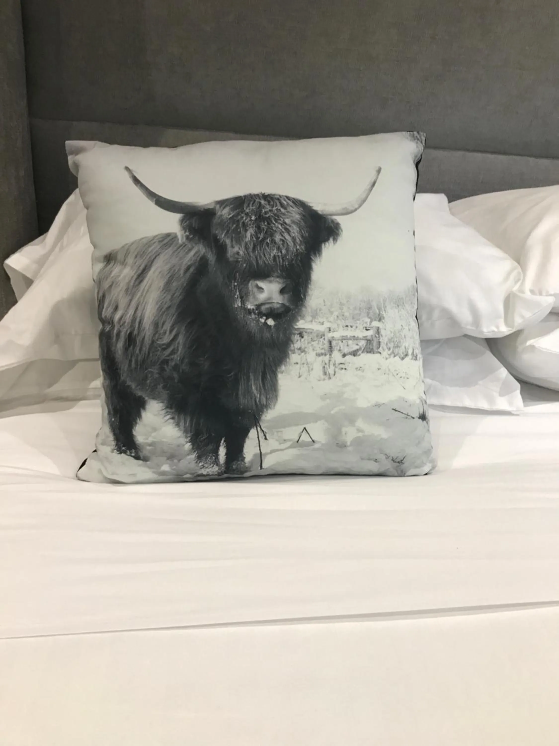 Decorative detail, Bed in The Bulls Head