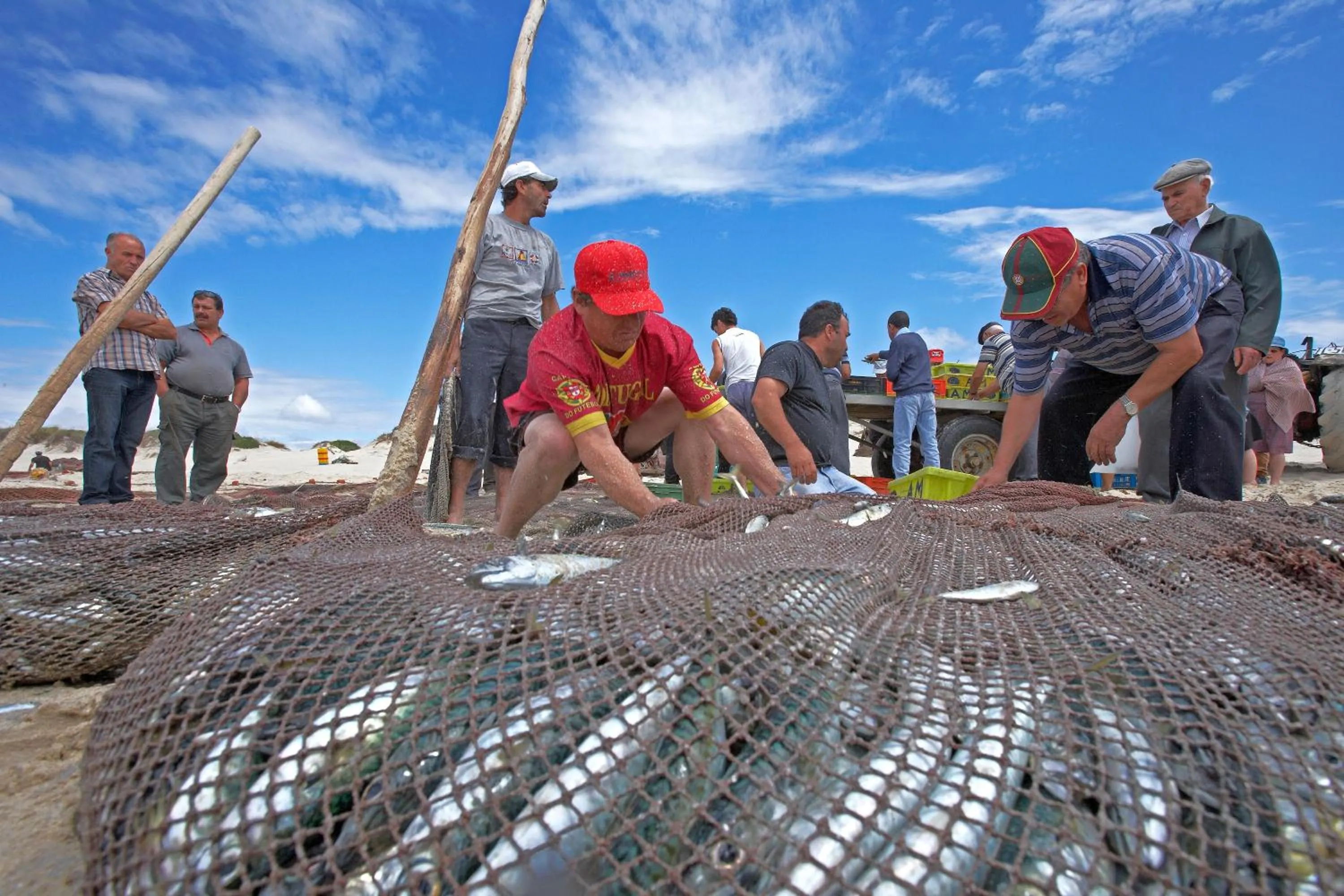Activities in Parque de Campismo Orbitur Vagueira