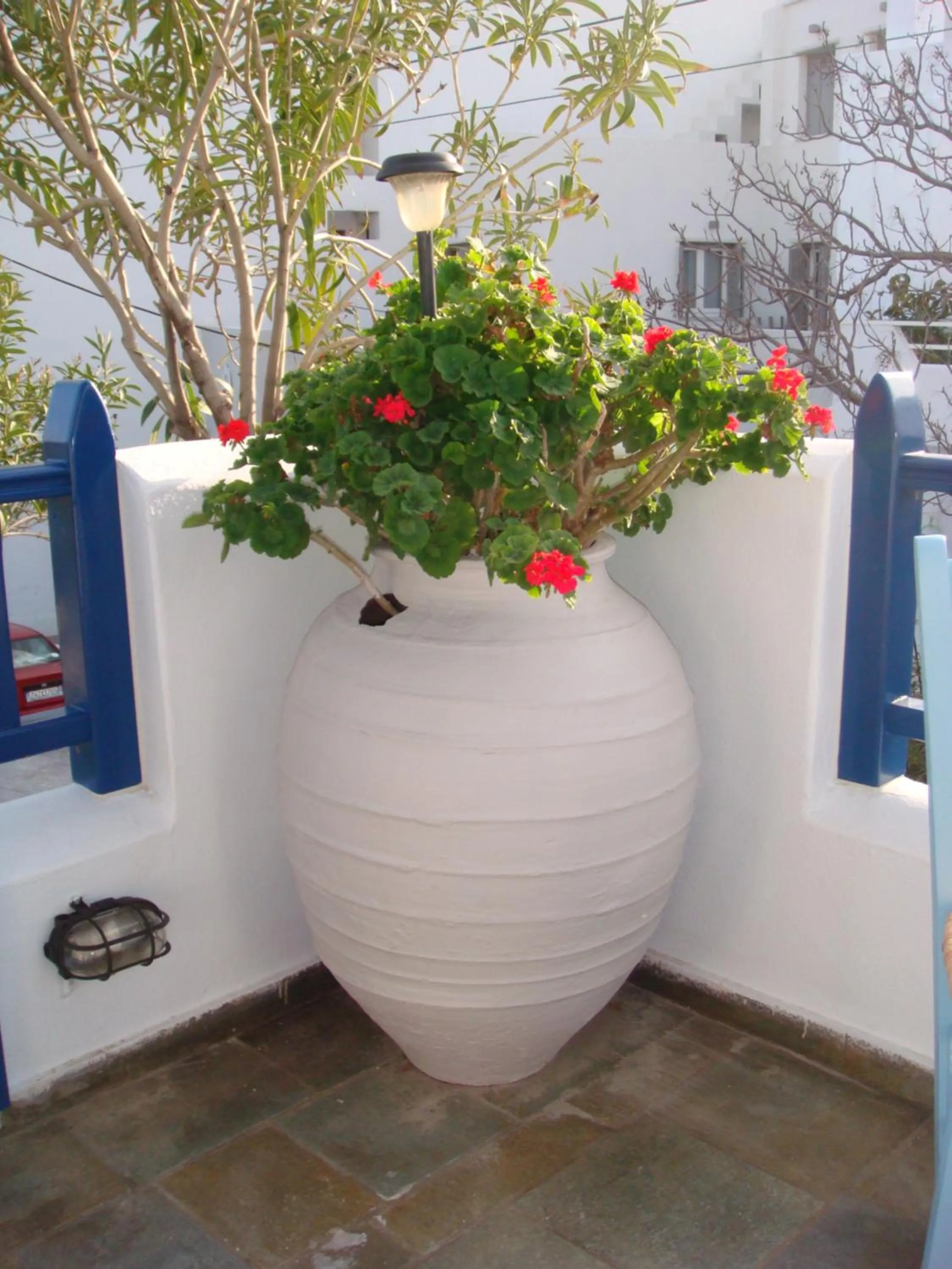 Balcony/Terrace in Boussetil Rooms CapAnMat