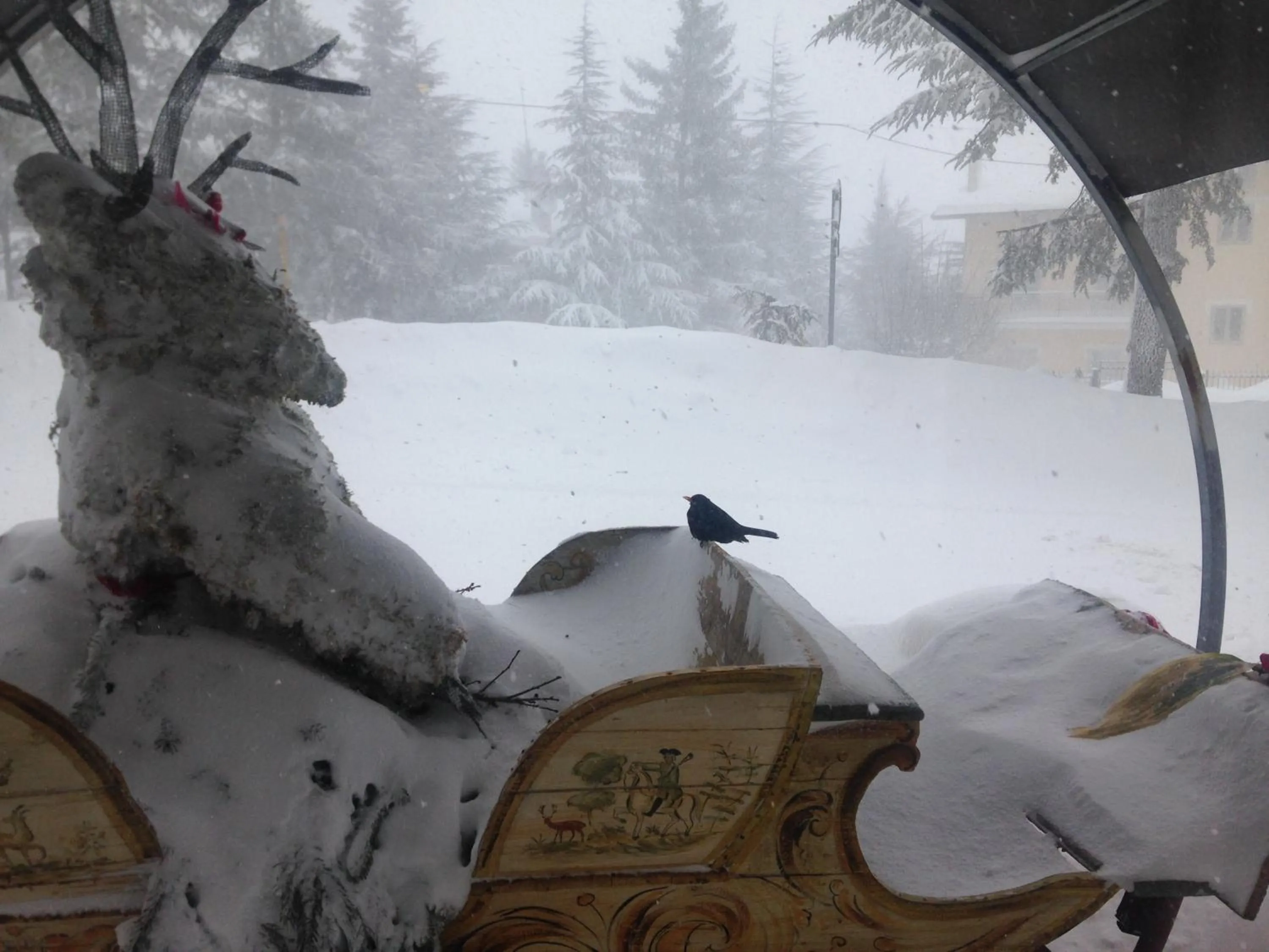 Facade/entrance in Relais Ducale Spa & Pool