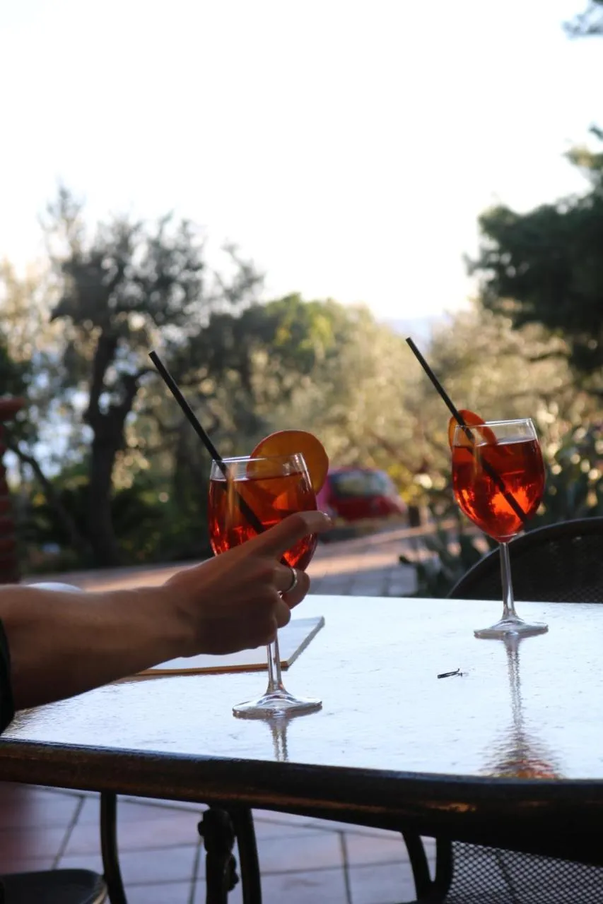 Drinks in Villa delle Palme