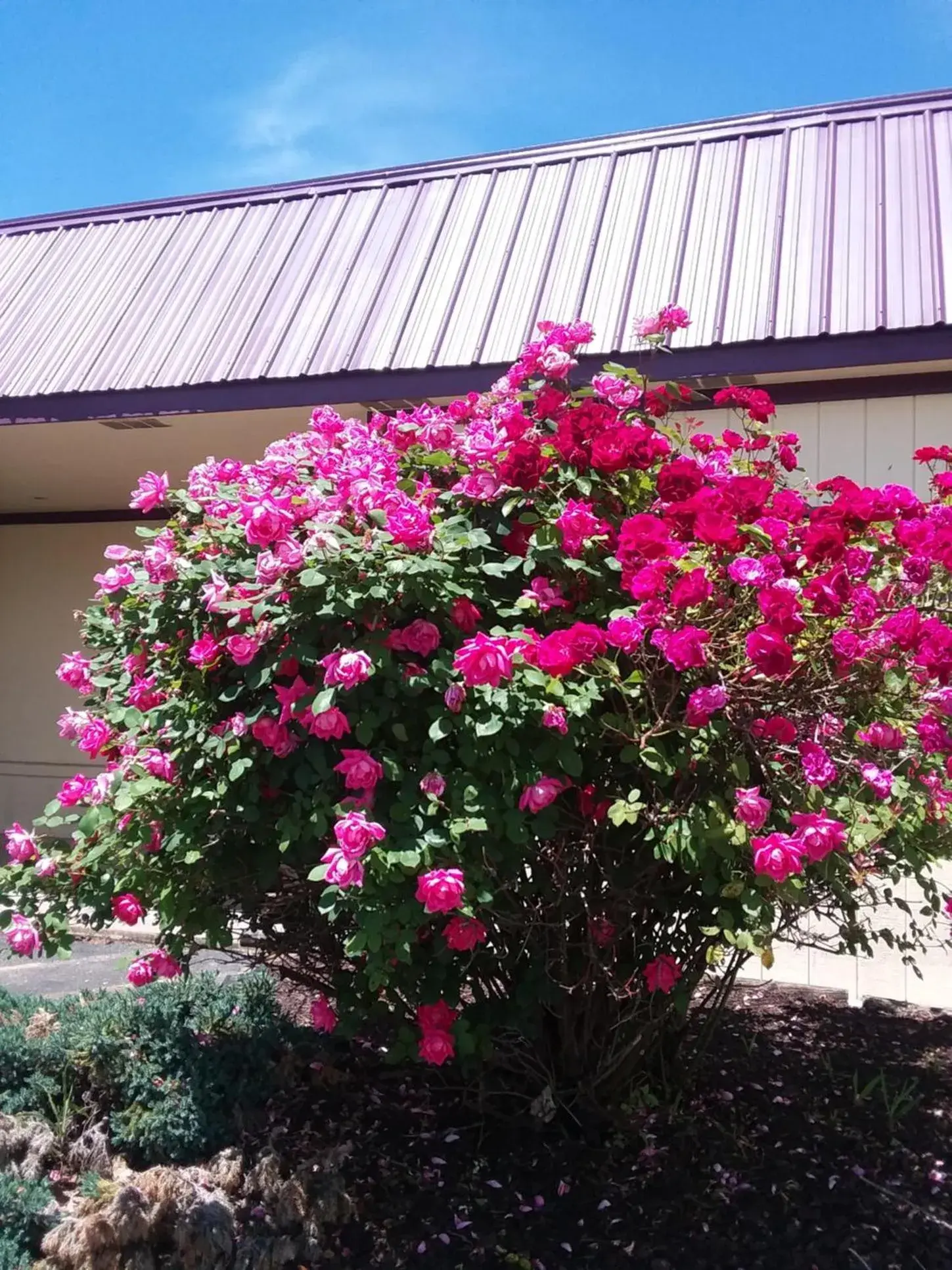 Day in APM Inn & Suites Day in APM Inn & Suites