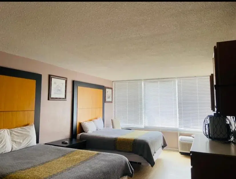 Bed in APM Inn & Suites Bed in APM Inn & Suites