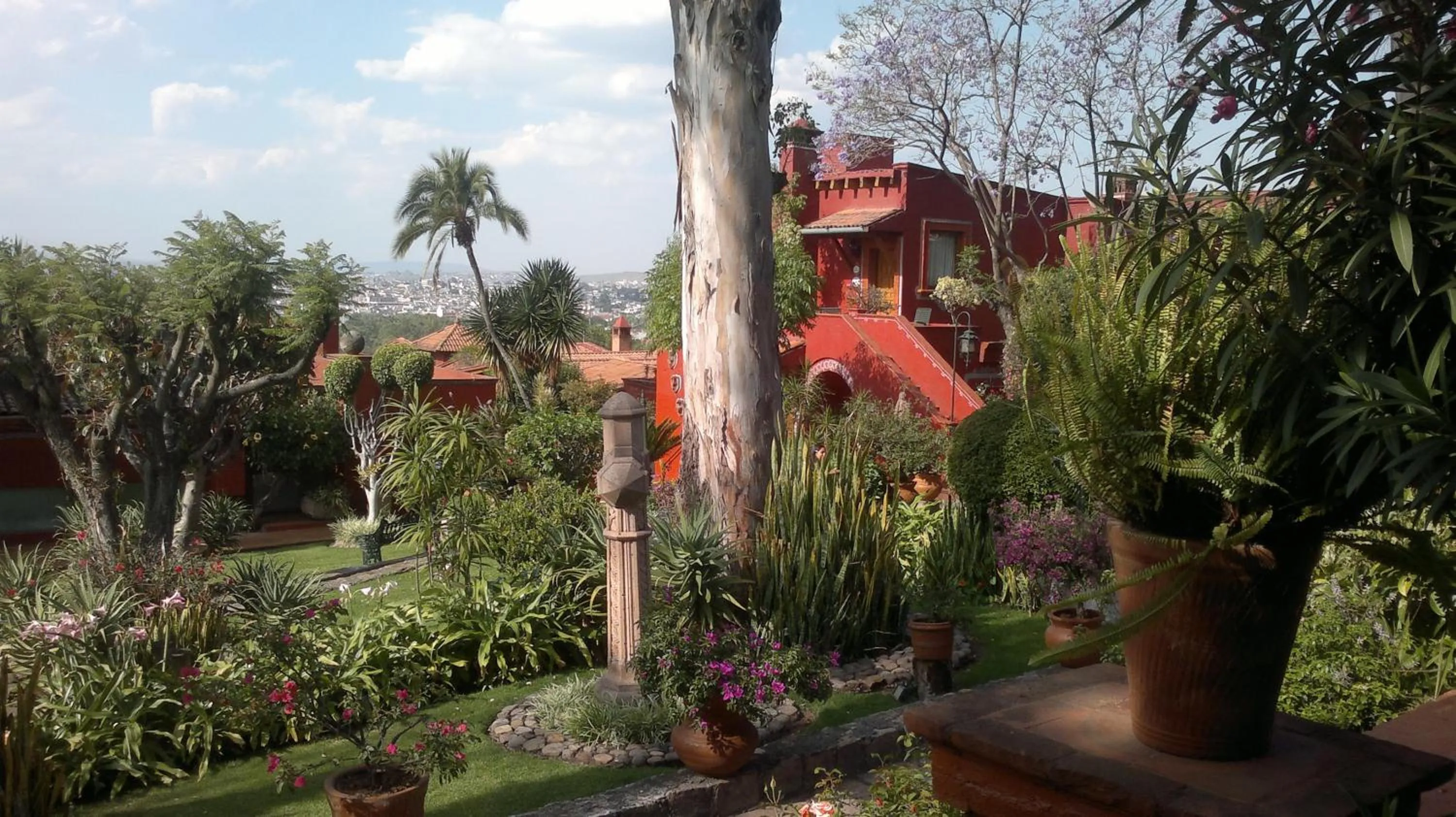 Garden in Villa San Jose Hotel & Suites