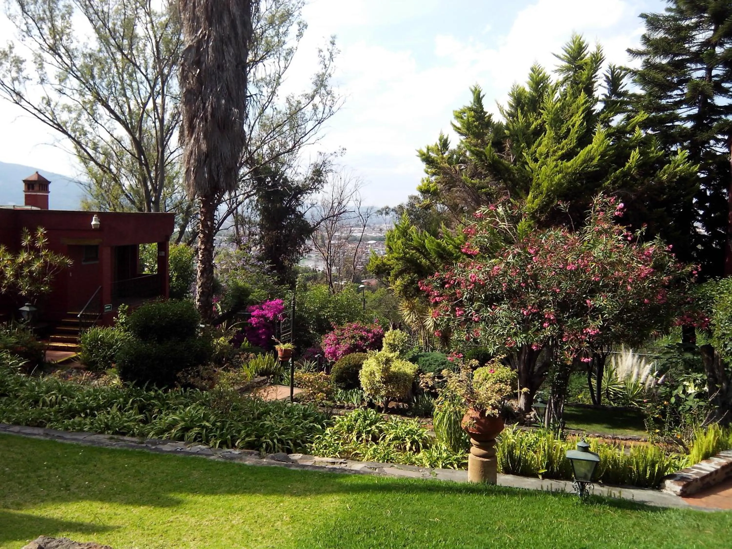 Garden in Villa San Jose Hotel & Suites