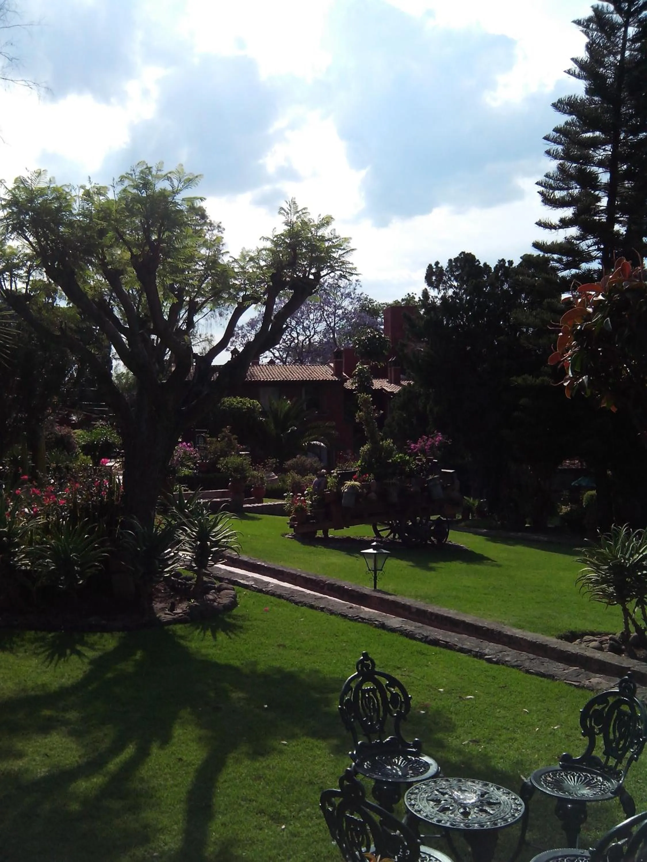 Garden in Villa San Jose Hotel & Suites