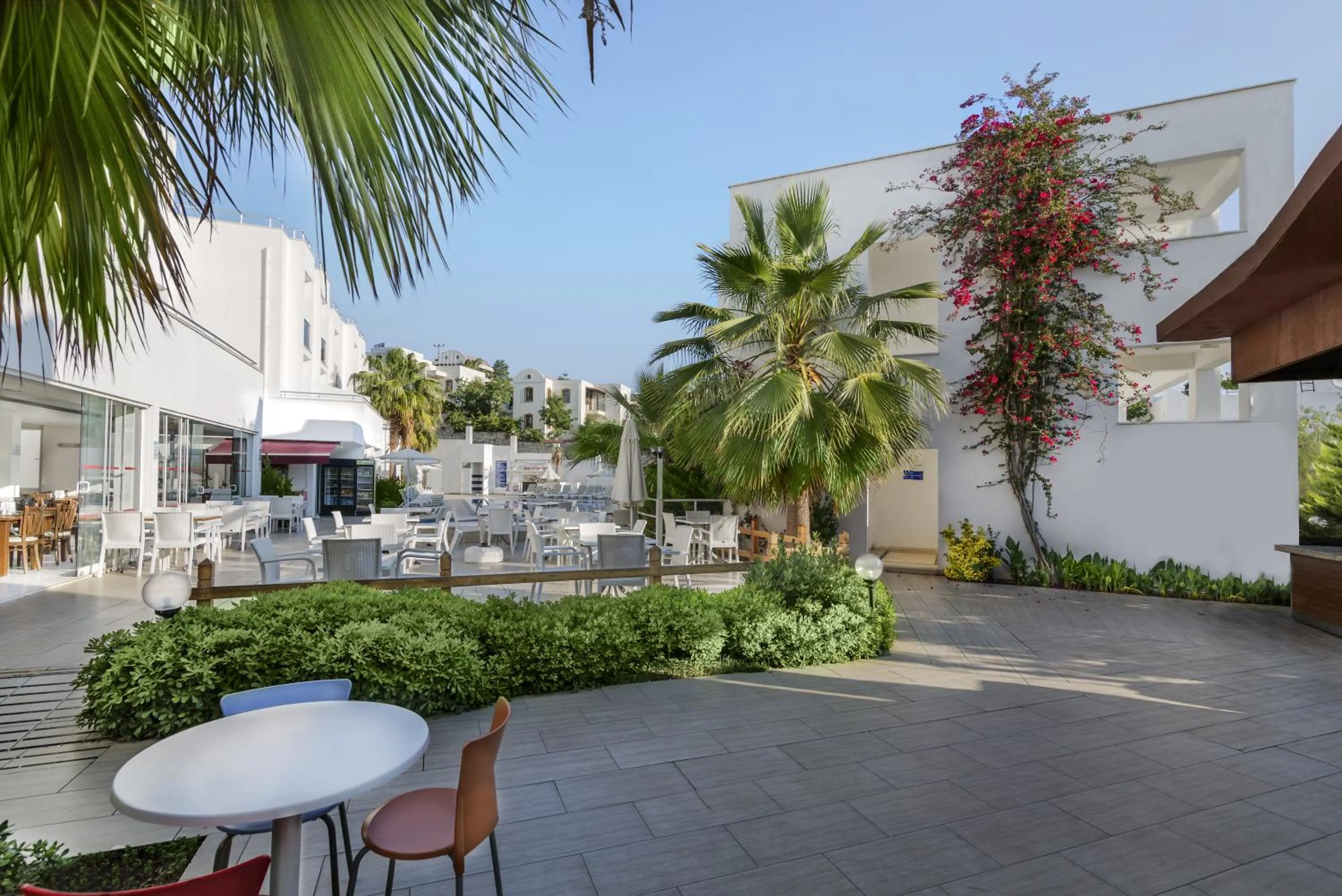 Area and facilities in Club Shark Hotel