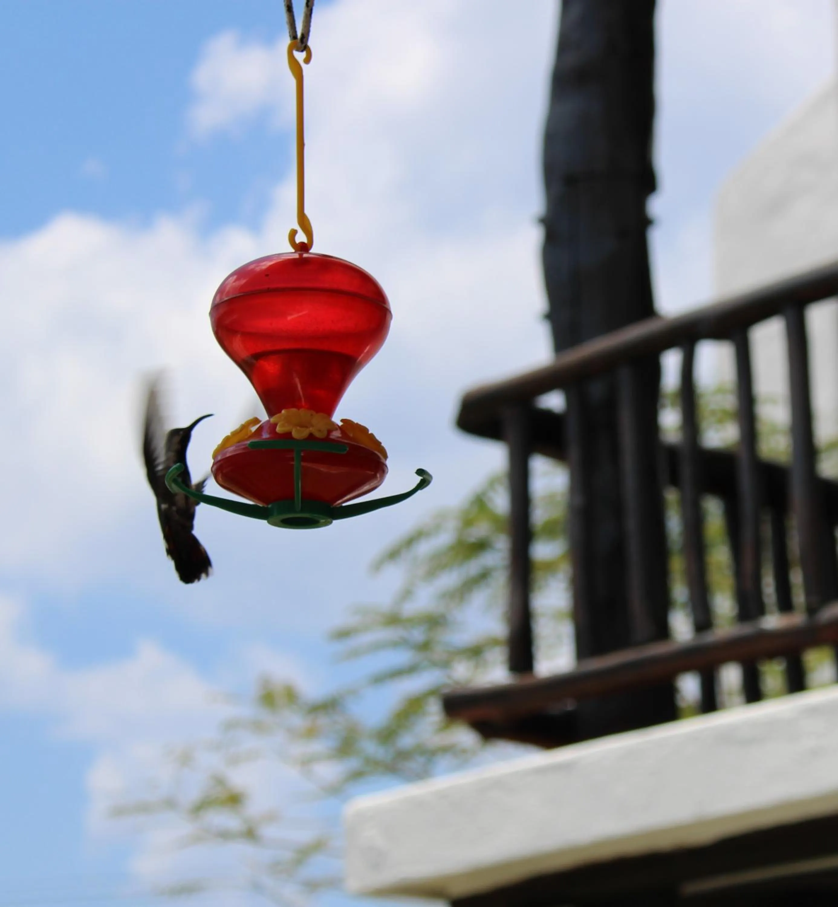 Villas Mayaluum Cozumel