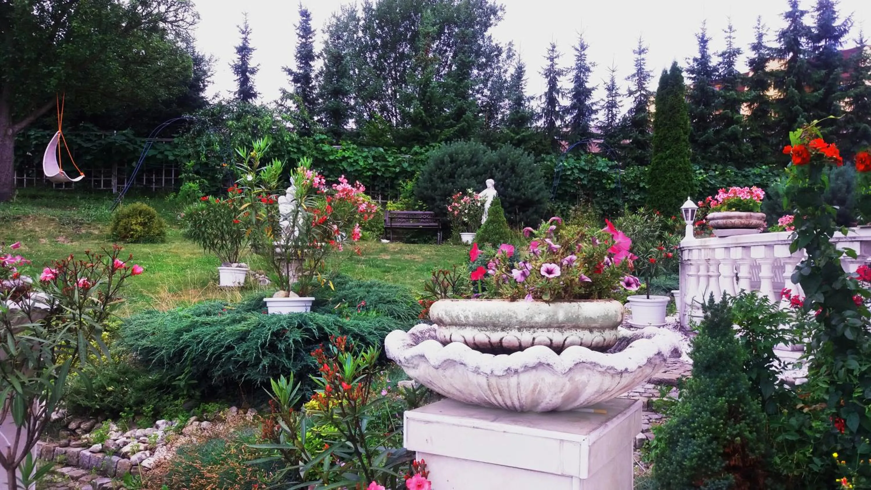 Garden in Hotel Garni