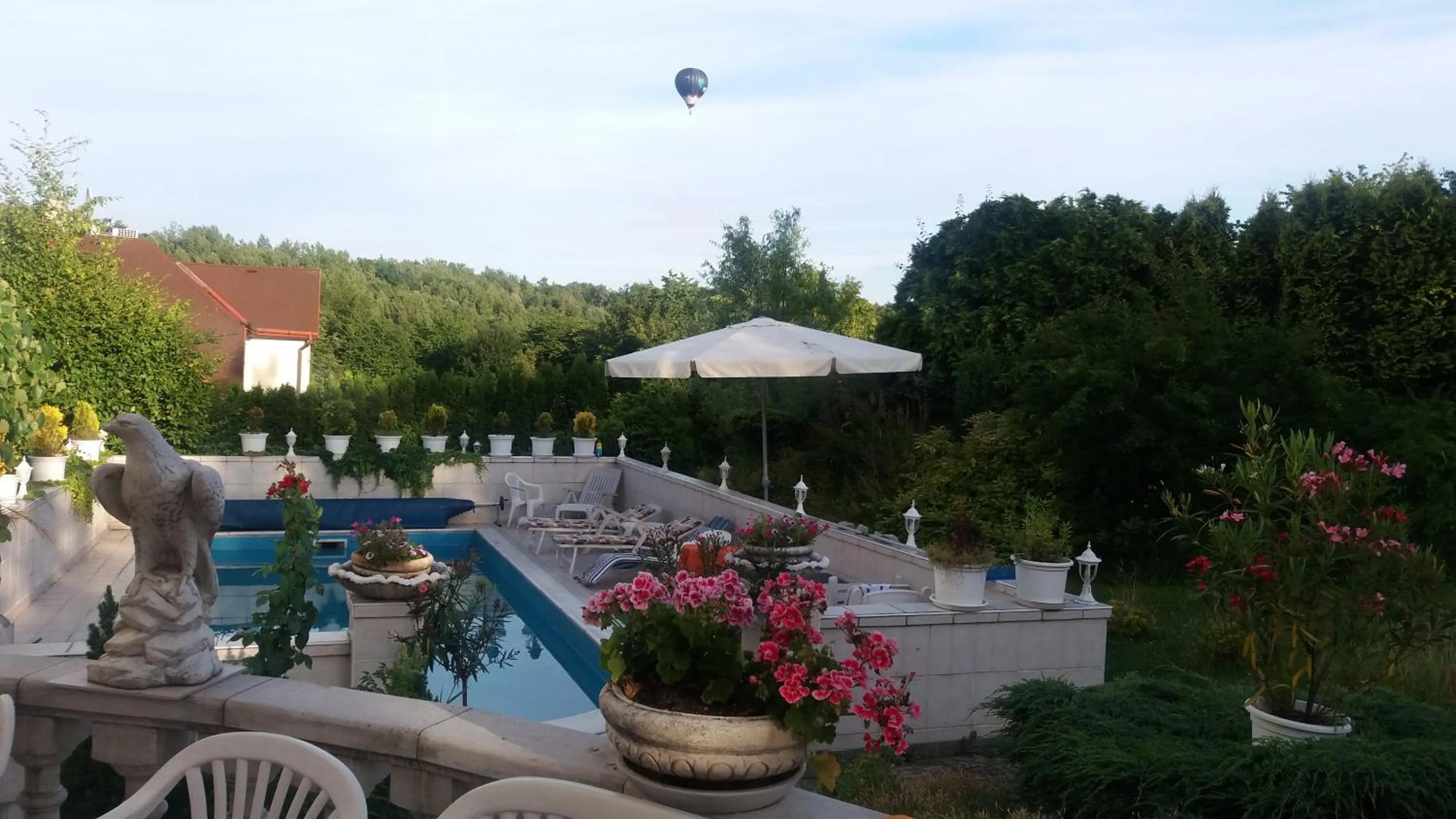 Swimming pool in Hotel Garni