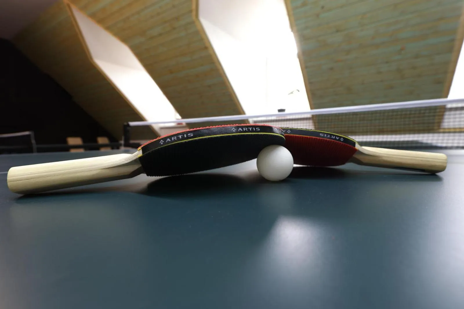 Table tennis in Hotel Skicentrum