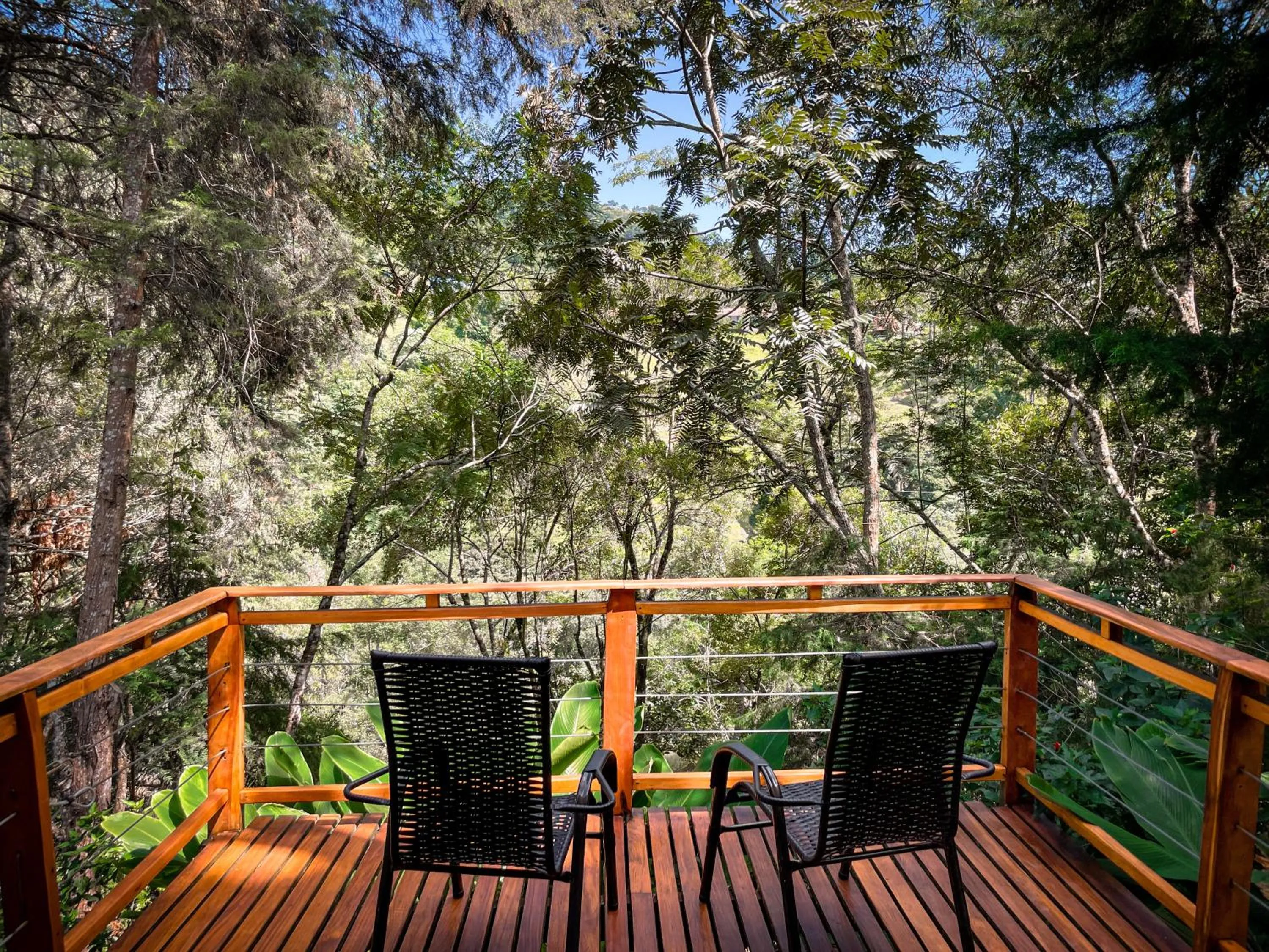 Pousada Solar D'Araucaria