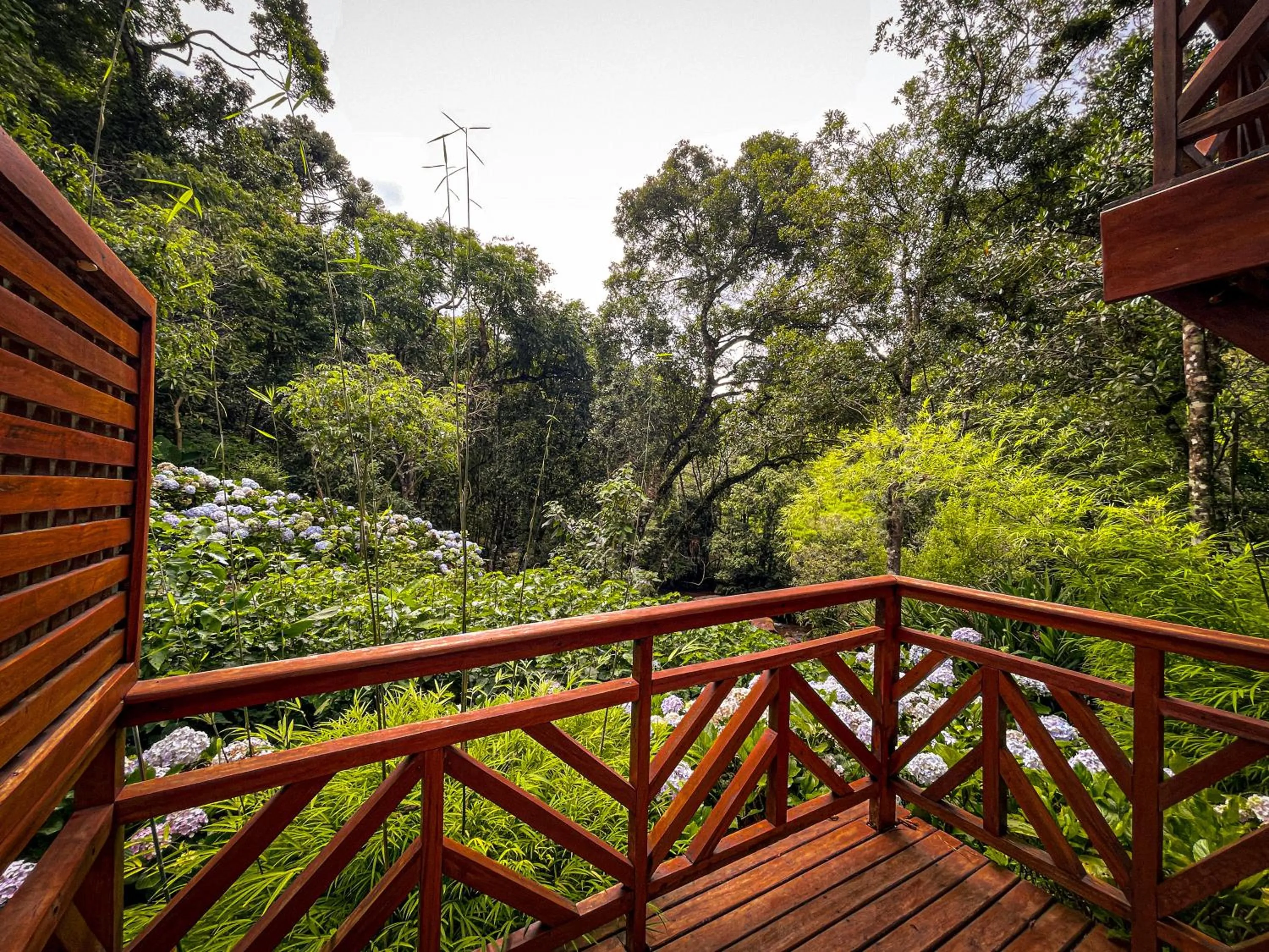 Pousada Solar D'Araucaria