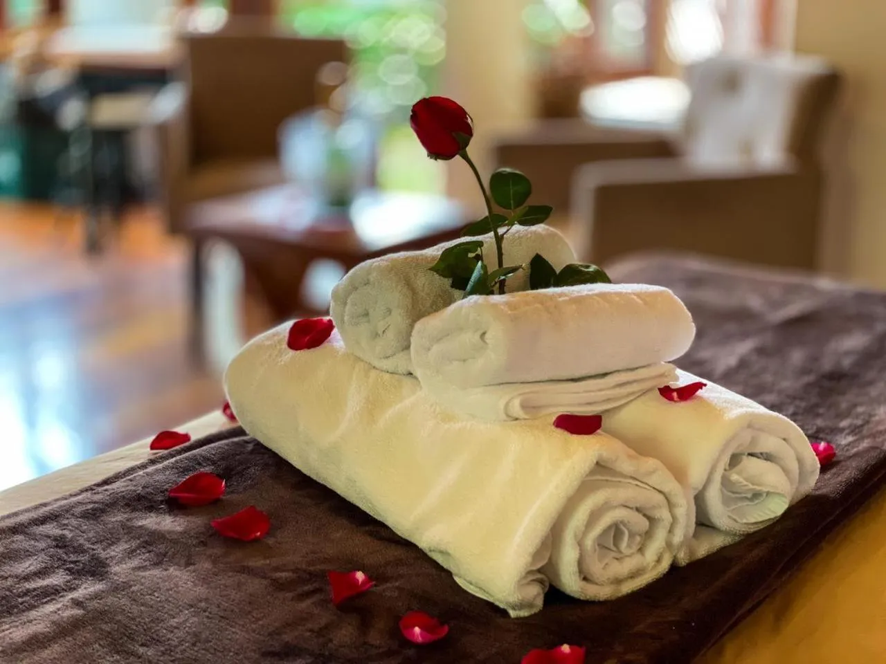 Pousada Solar D'Araucaria