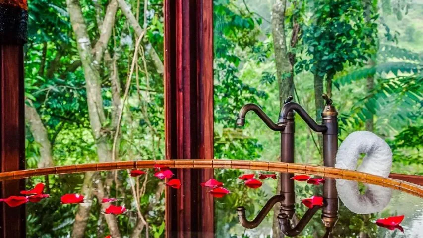 Pousada Solar D'Araucaria