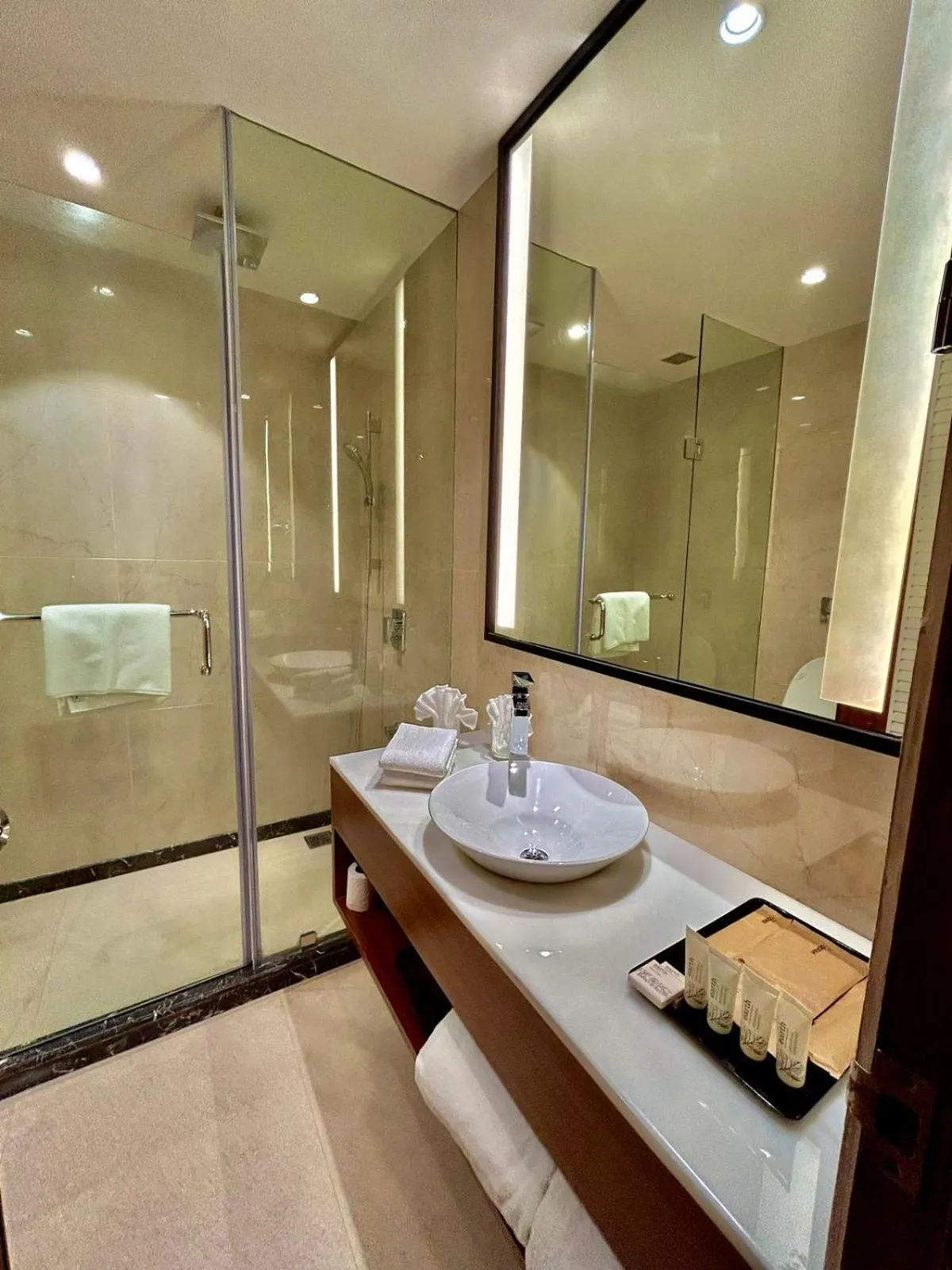 Shower in Best Western Plus Amritsar