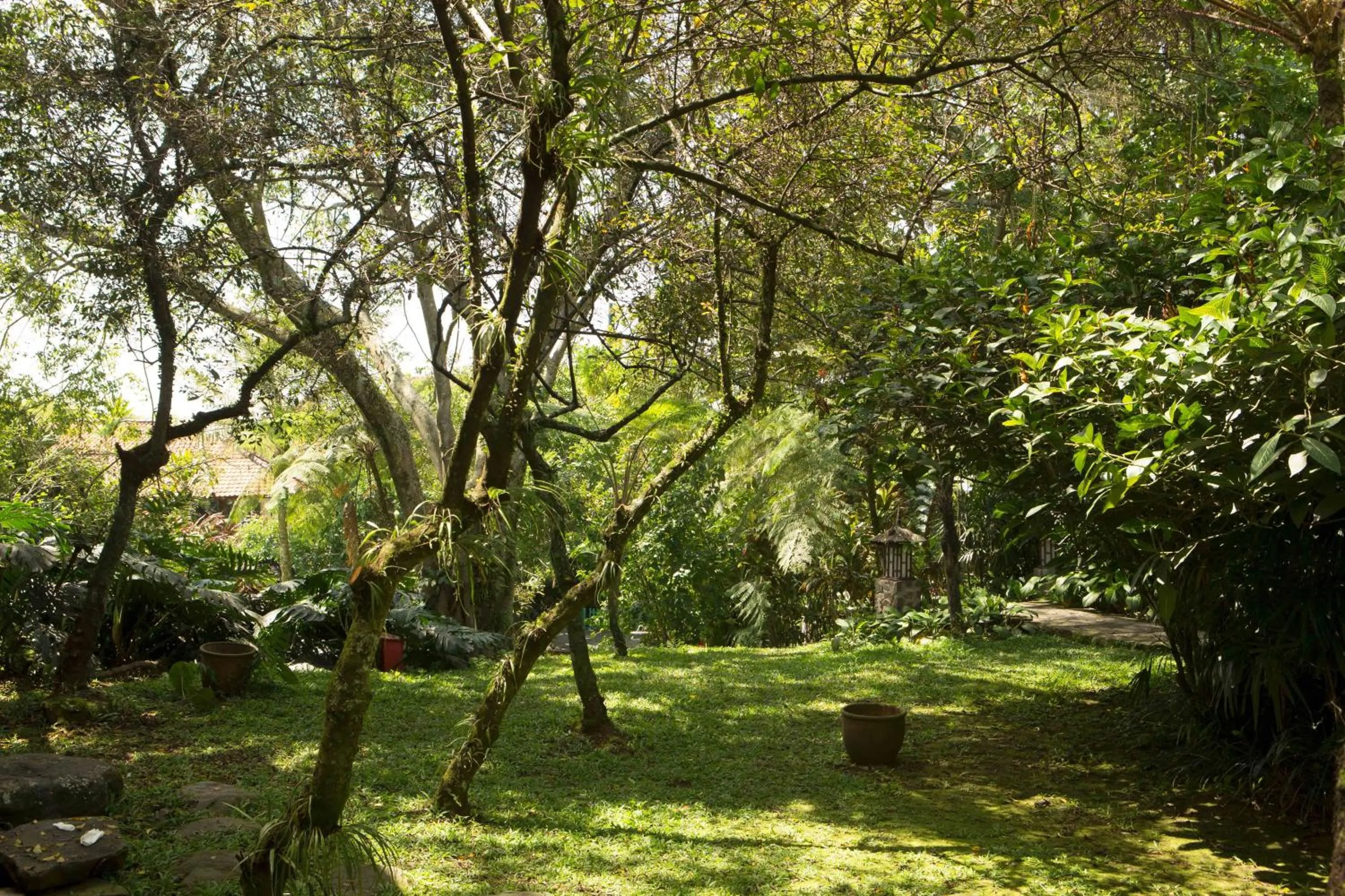 Natural landscape in Novus Giri Resort & Spa