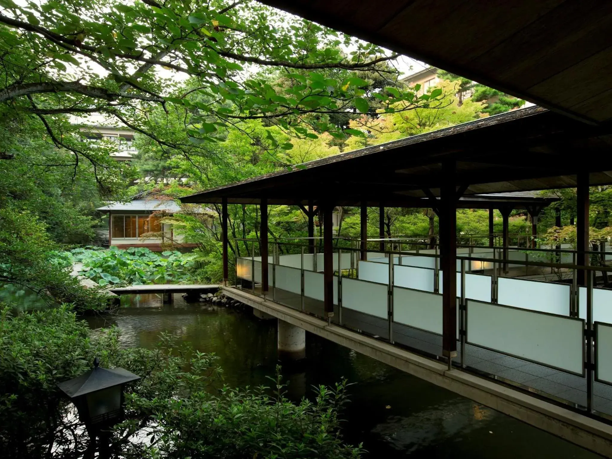 Matsusaki Matsusaki