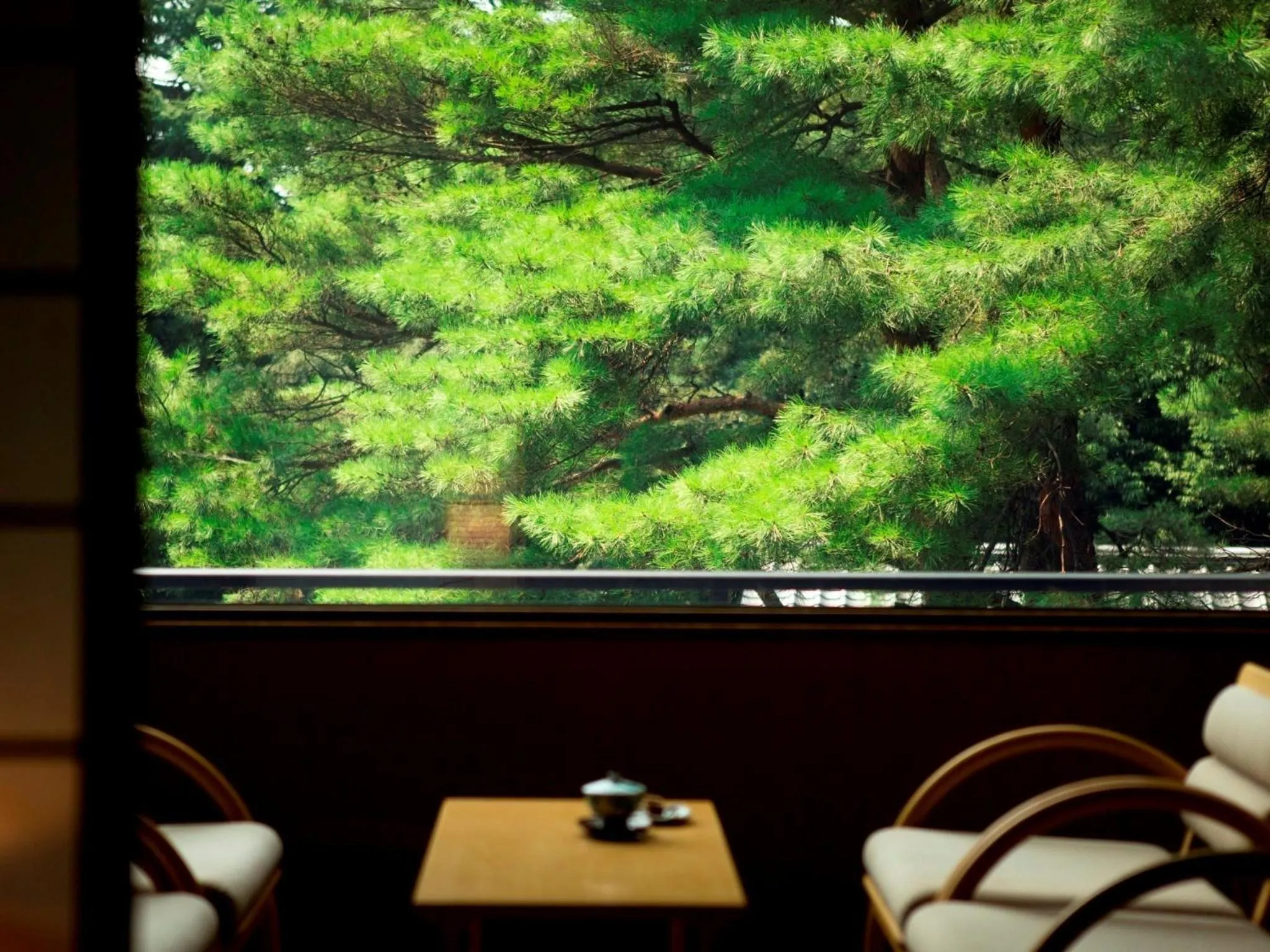 Photo of the whole room in Matsusaki