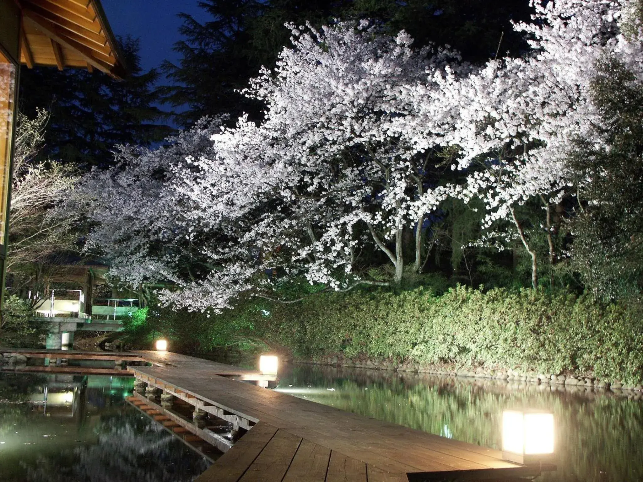 Matsusaki Matsusaki