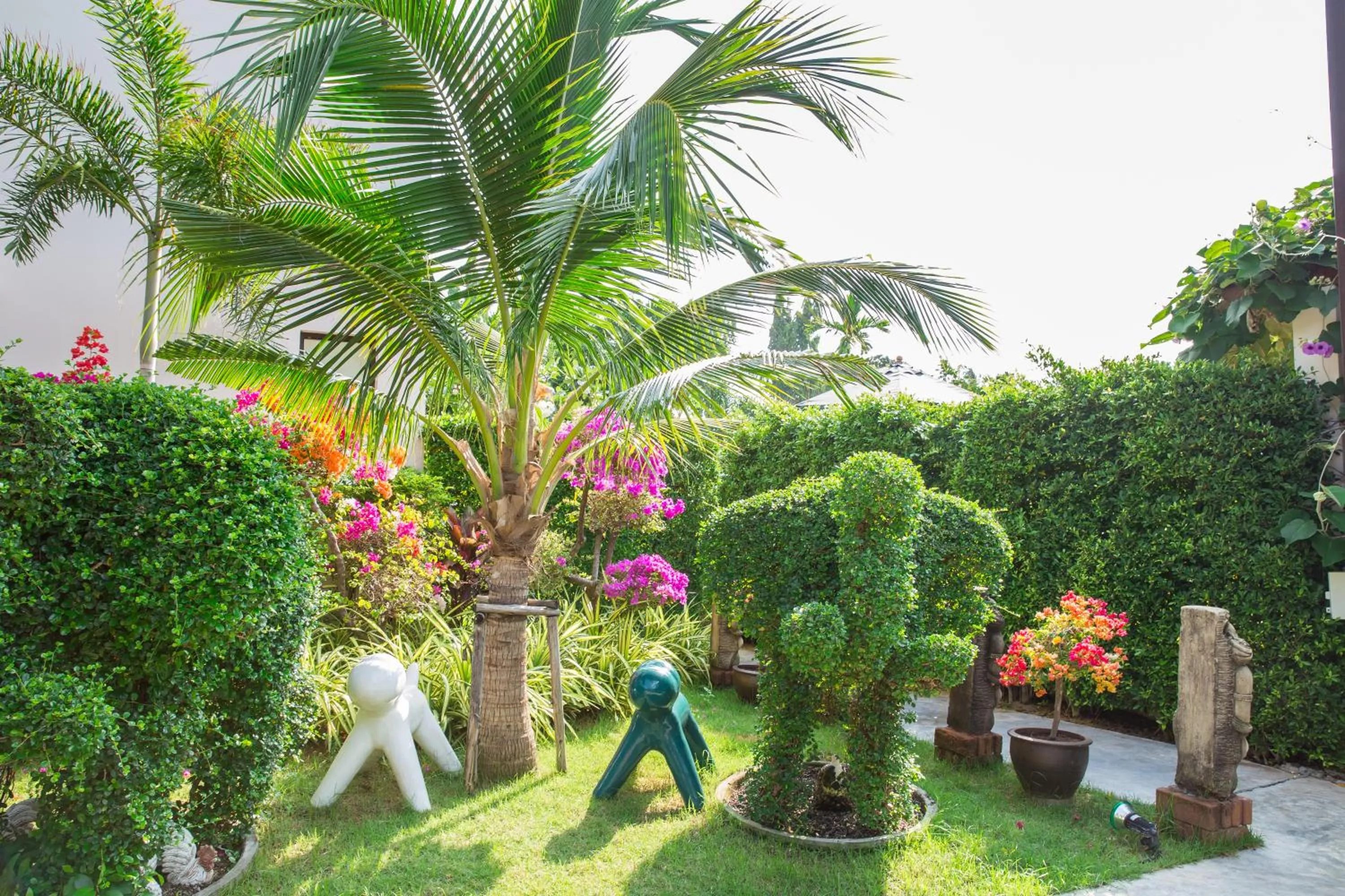 Garden in Lamai Coconut Beach Resort