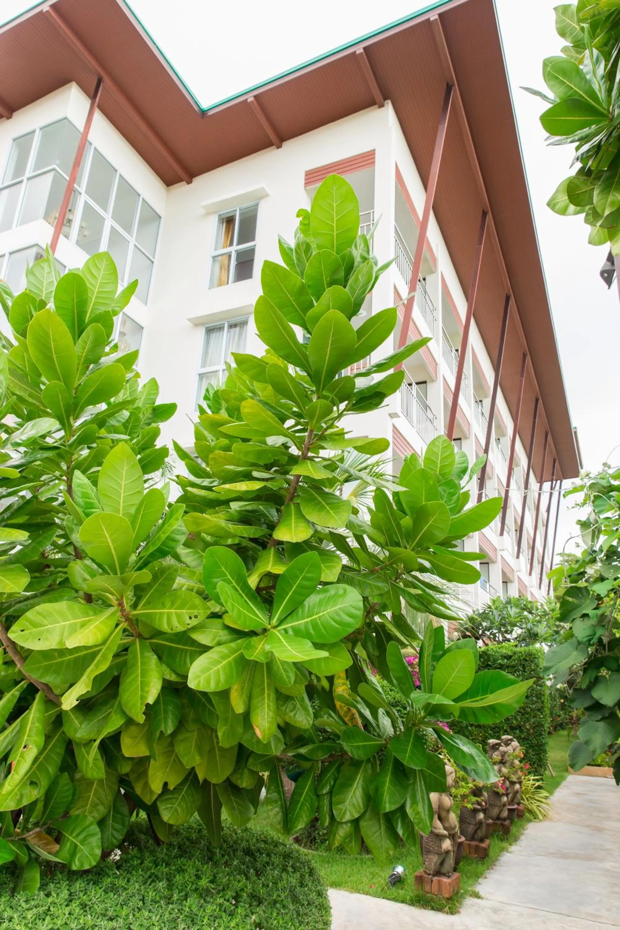 Other in Lamai Coconut Beach Resort