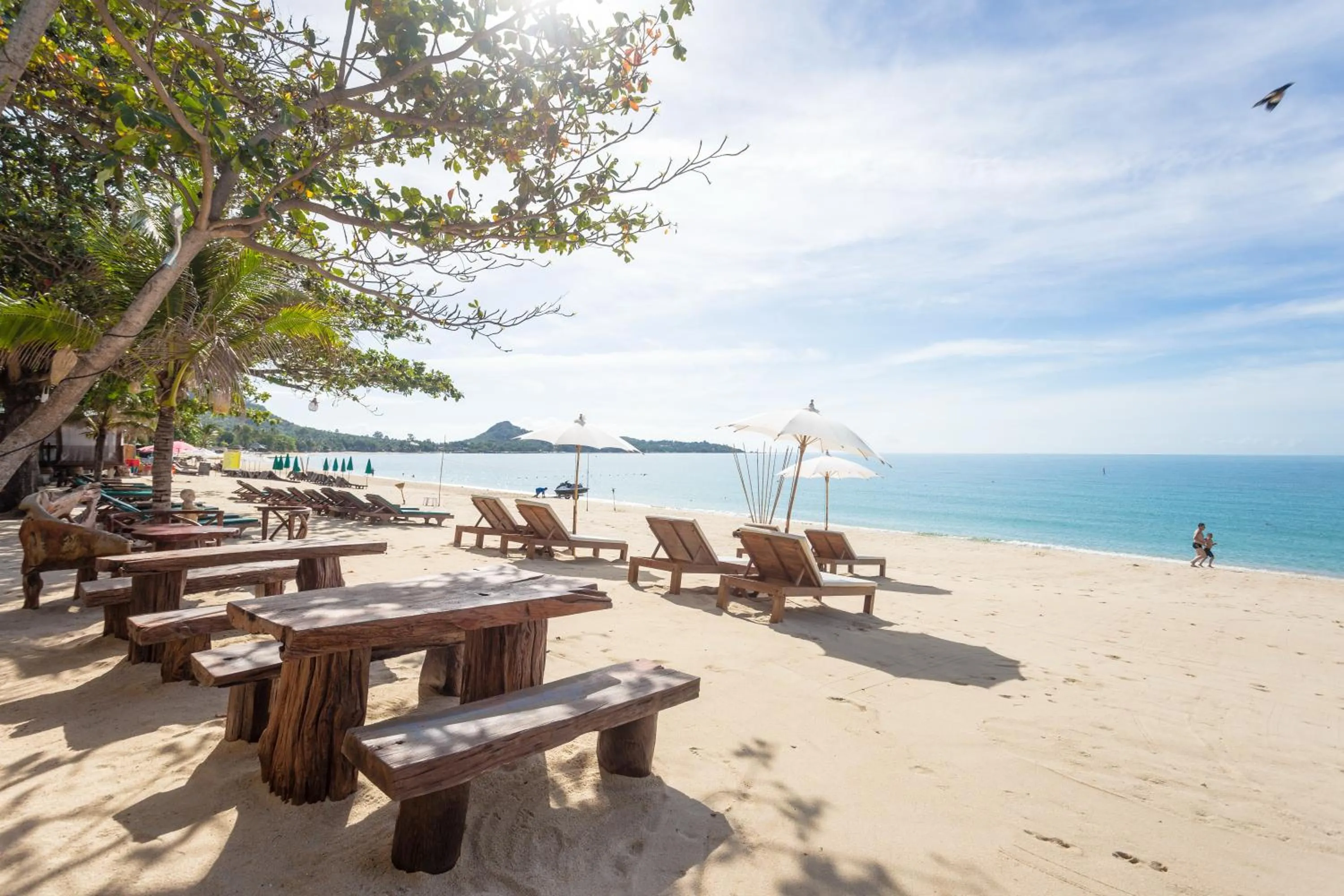Beach in Lamai Coconut Beach Resort