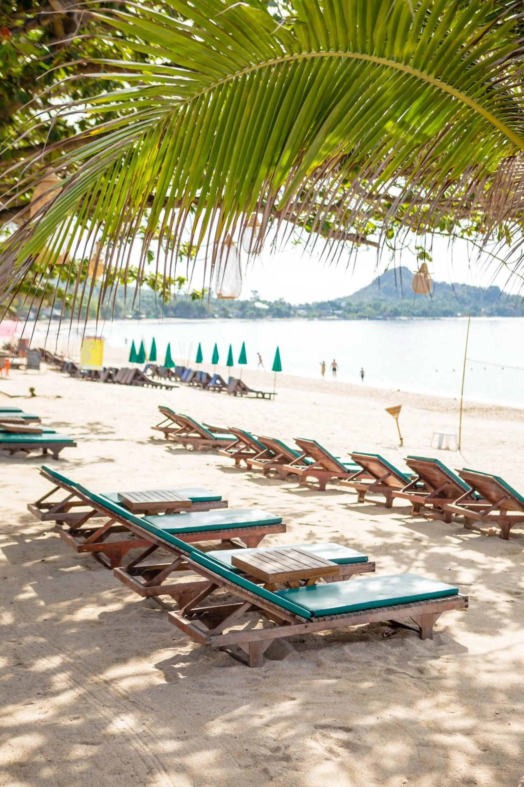 Beach in Lamai Coconut Beach Resort