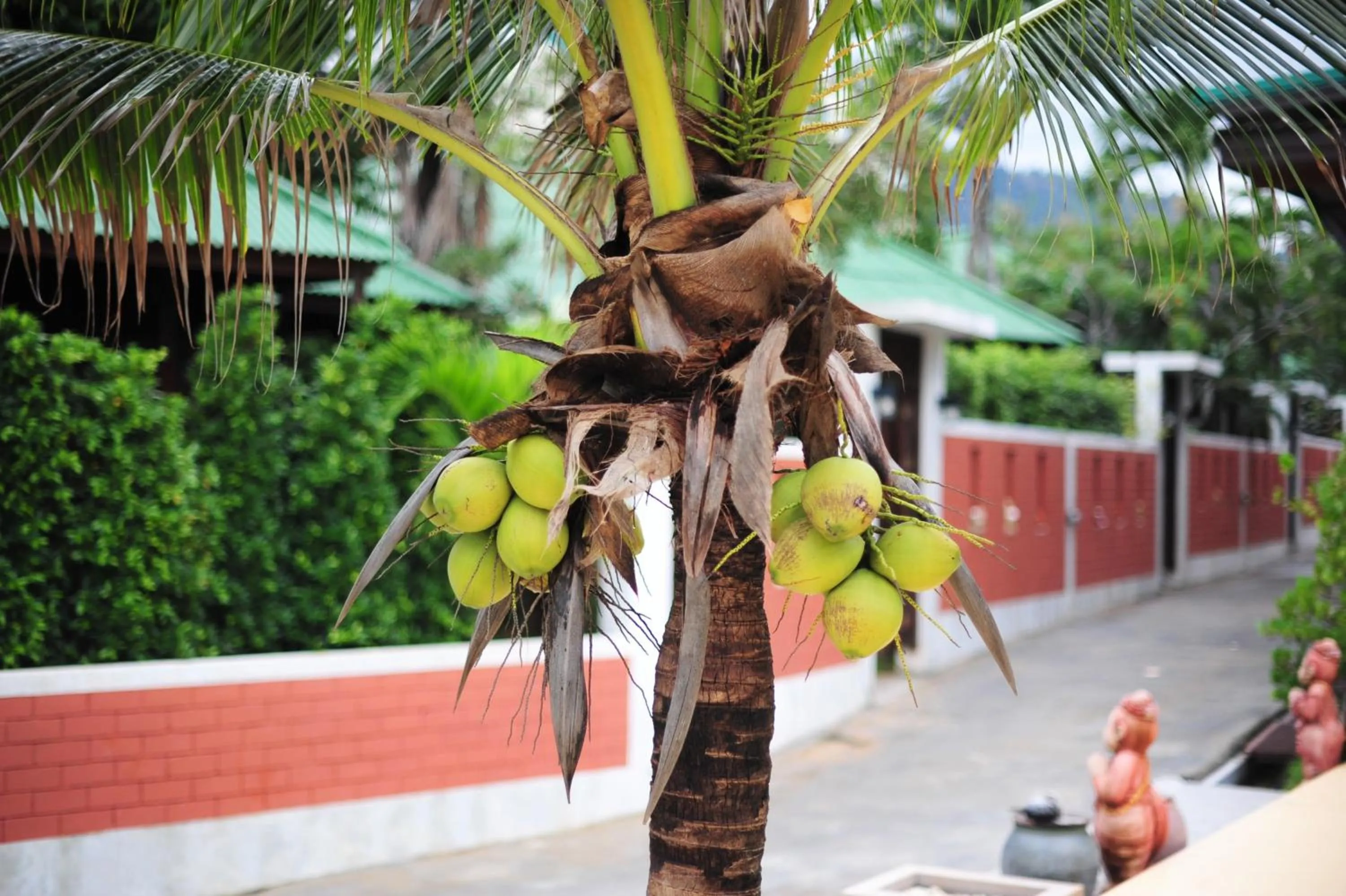 View (from property/room) in Lamai Coconut Beach Resort