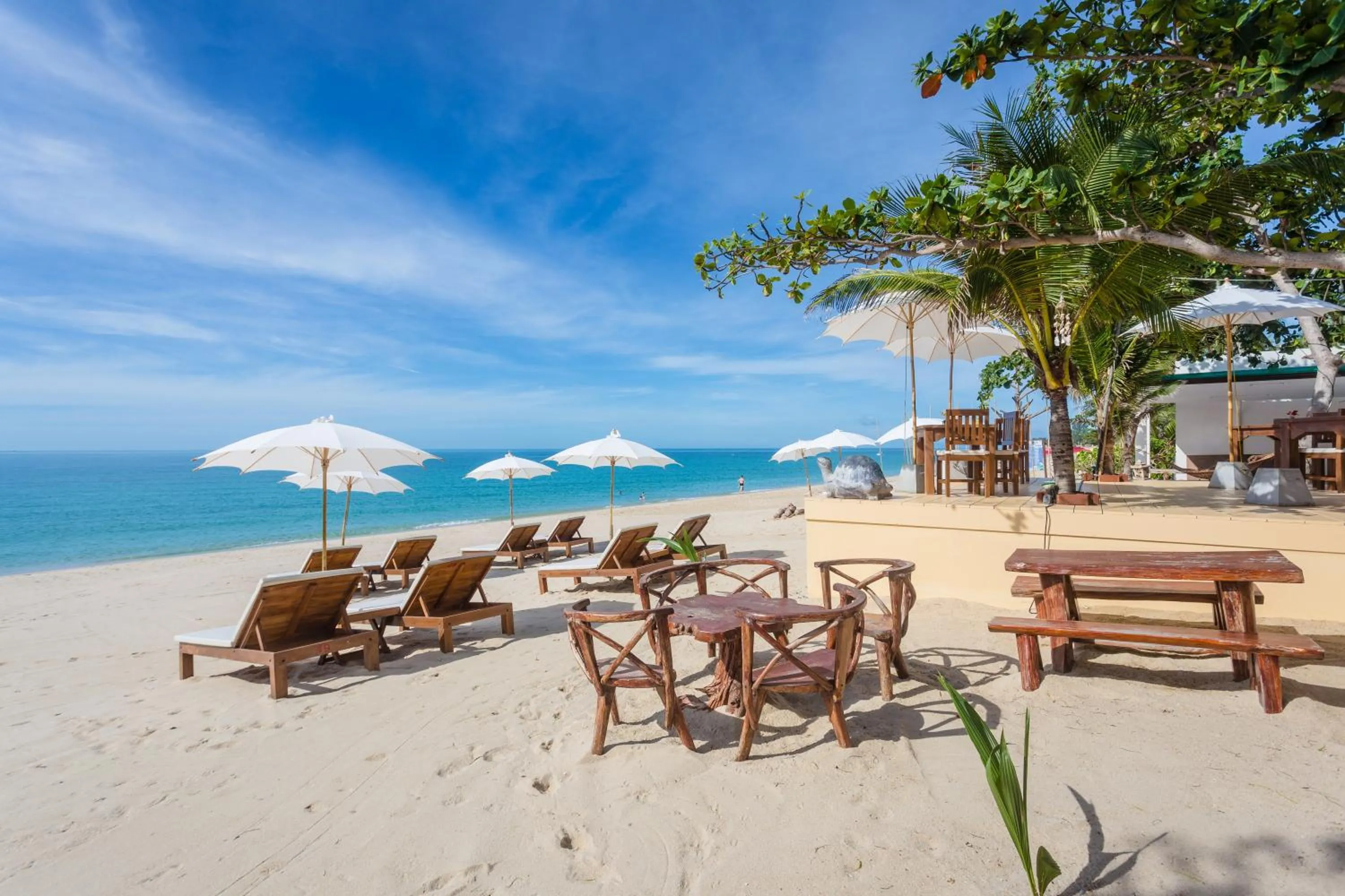 Natural landscape in Lamai Coconut Beach Resort