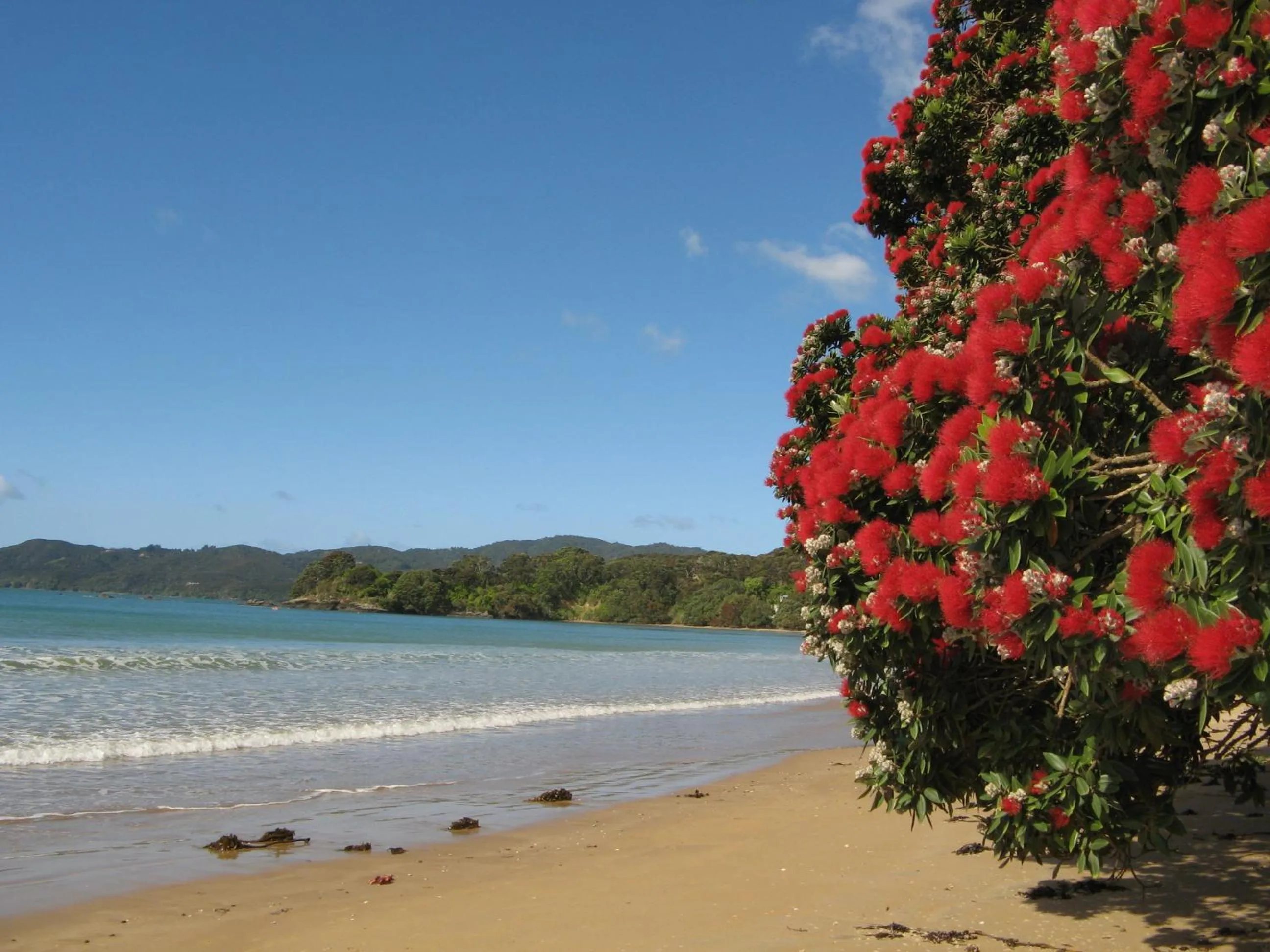 Spring in By the Bay Beachfront Apartments