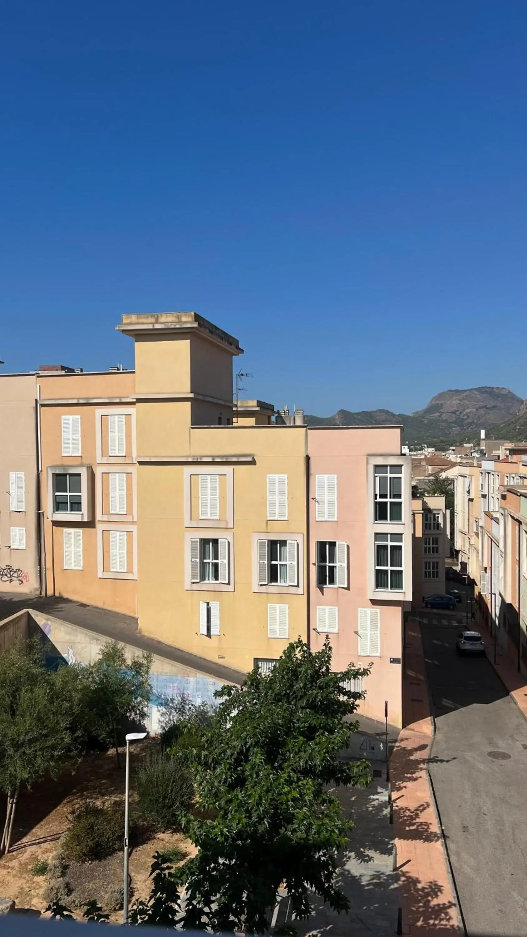 Garden view in Loop INN Hostel Cartagena Garden view in Loop INN Hostel Cartagena