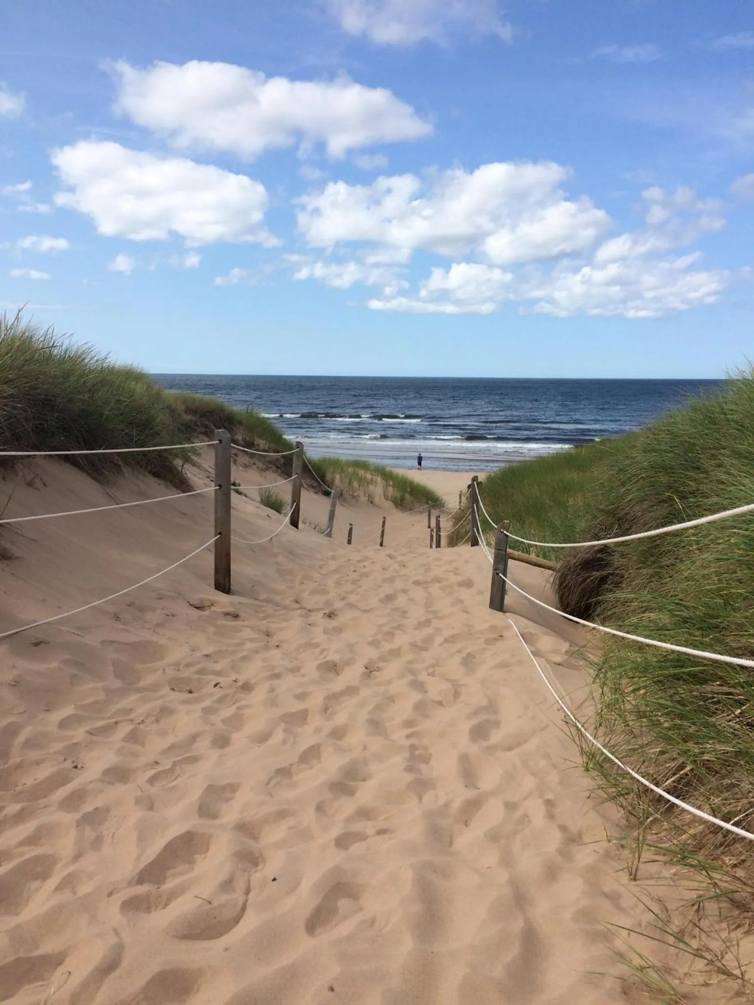 Beach in The Library Inn