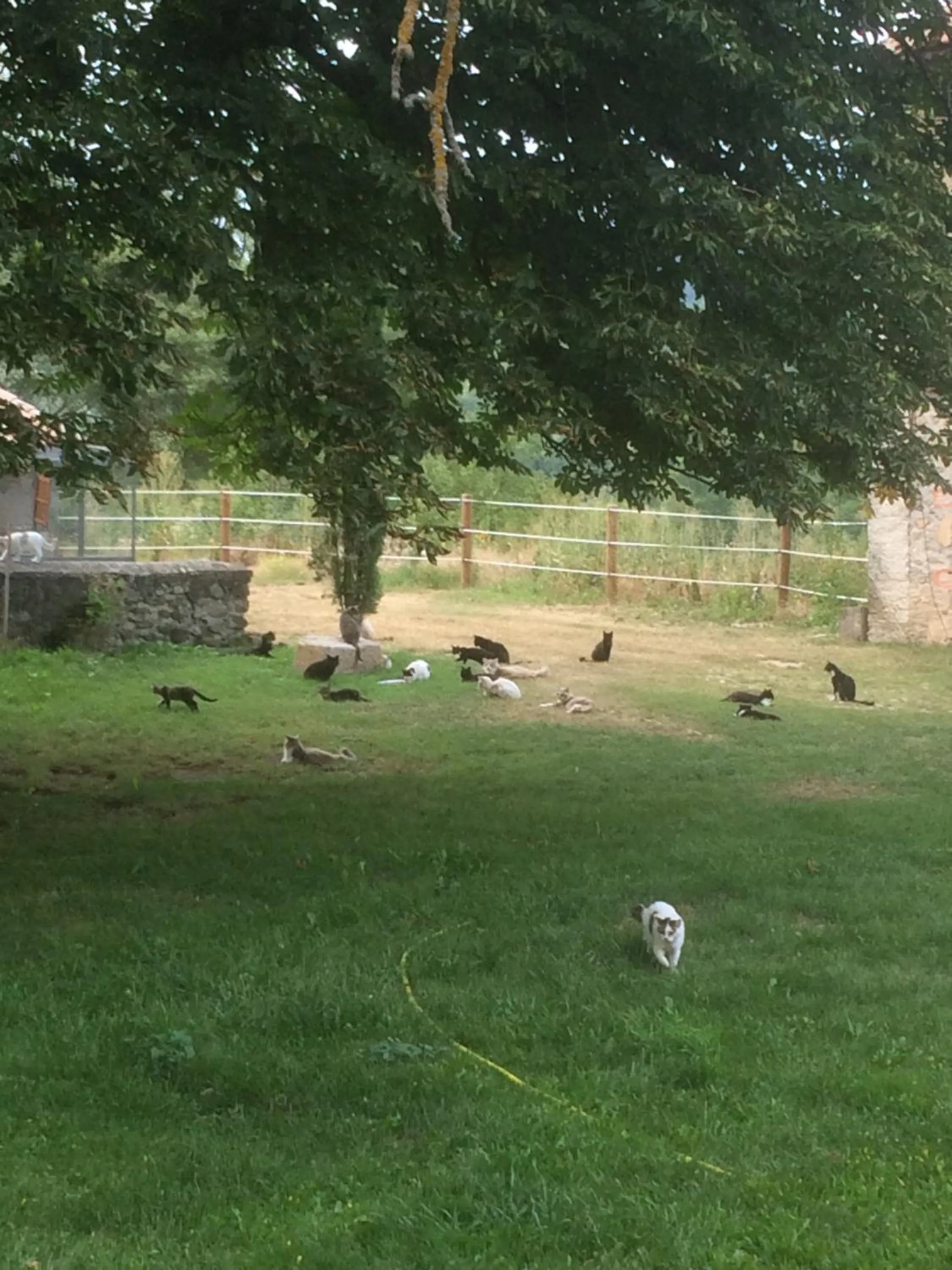 Château de la Cazette