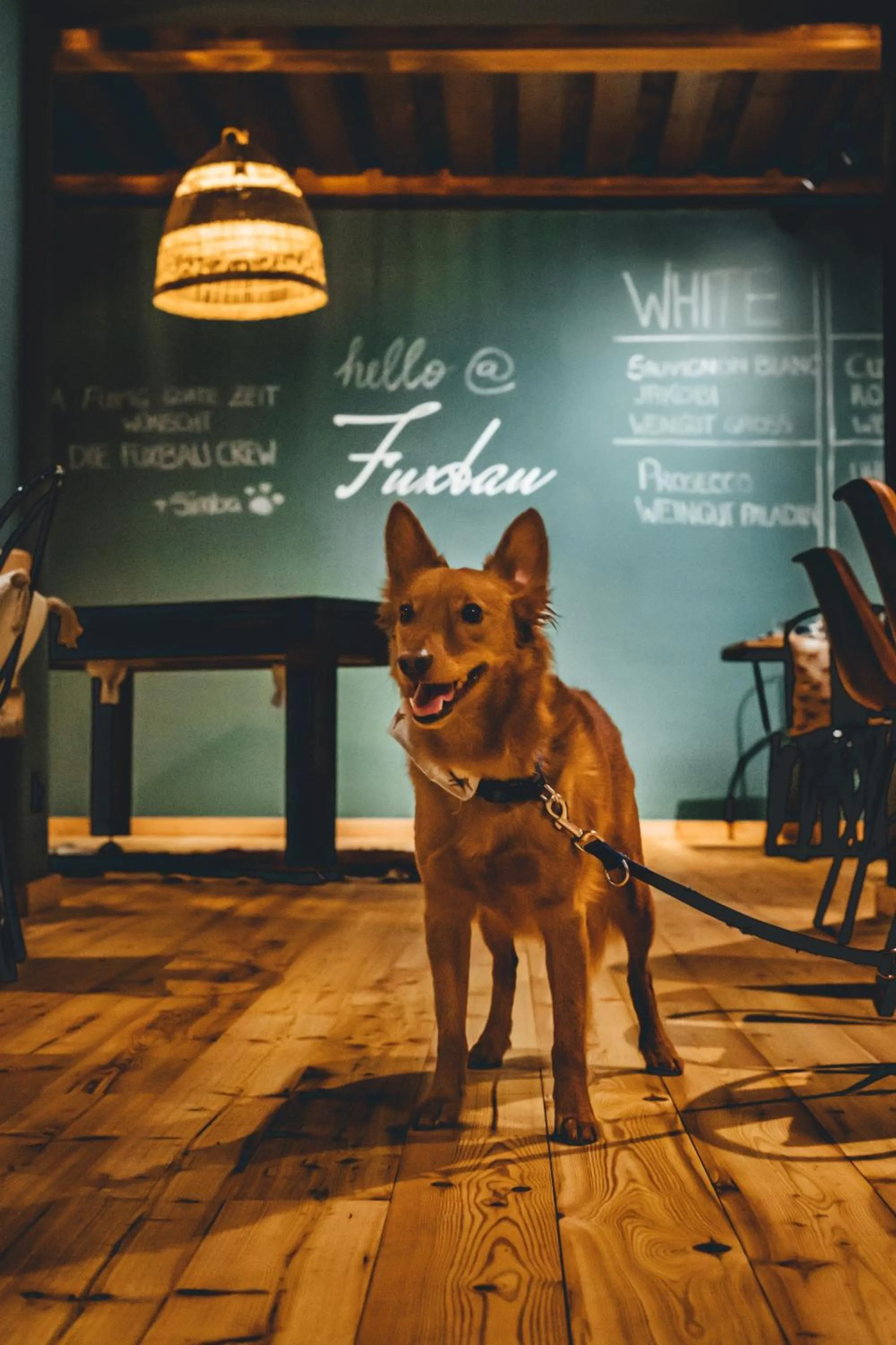 Restaurant/places to eat in Hotel Sportalm - Adults Only Boutique Hotel