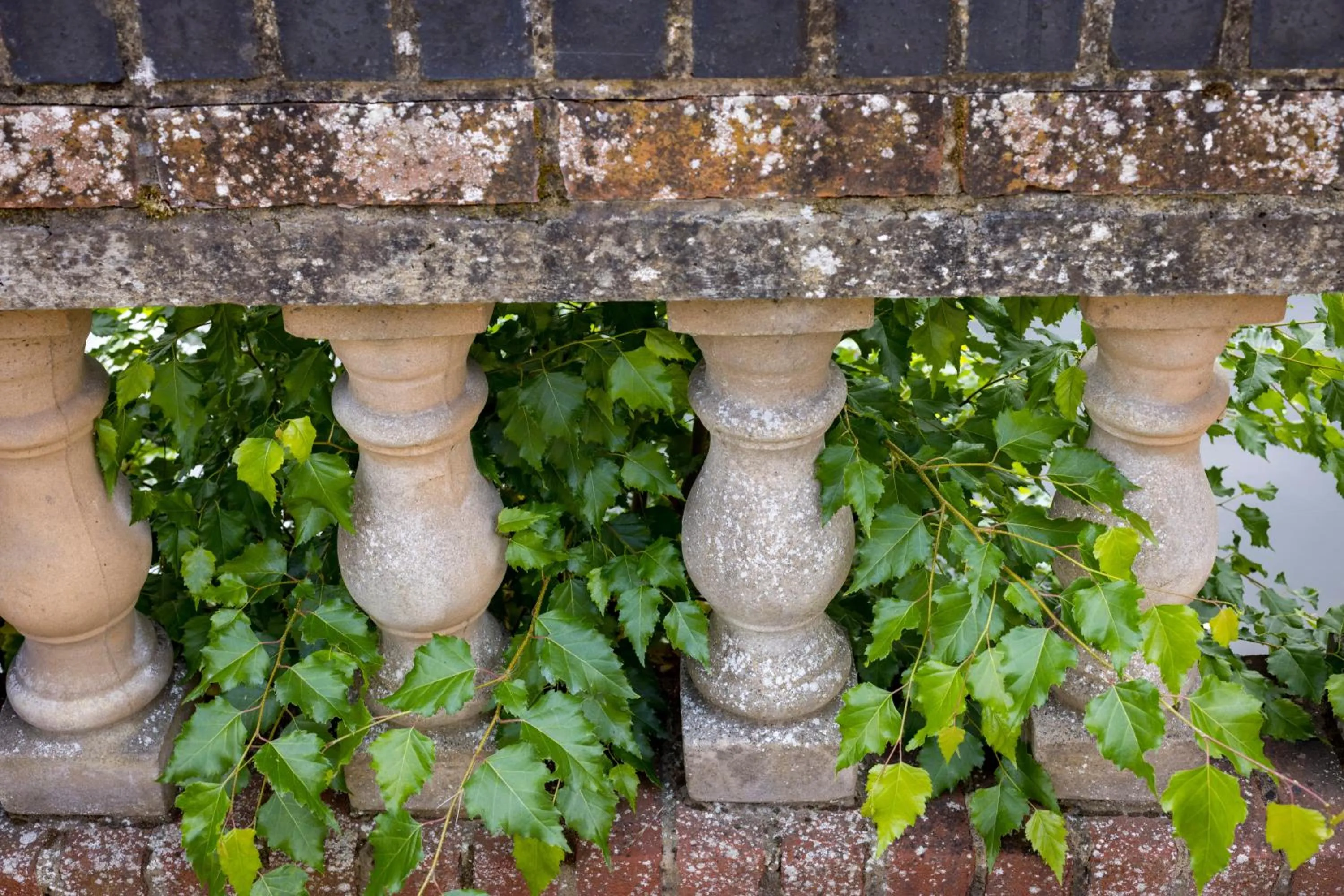 Lakeside International Hotel