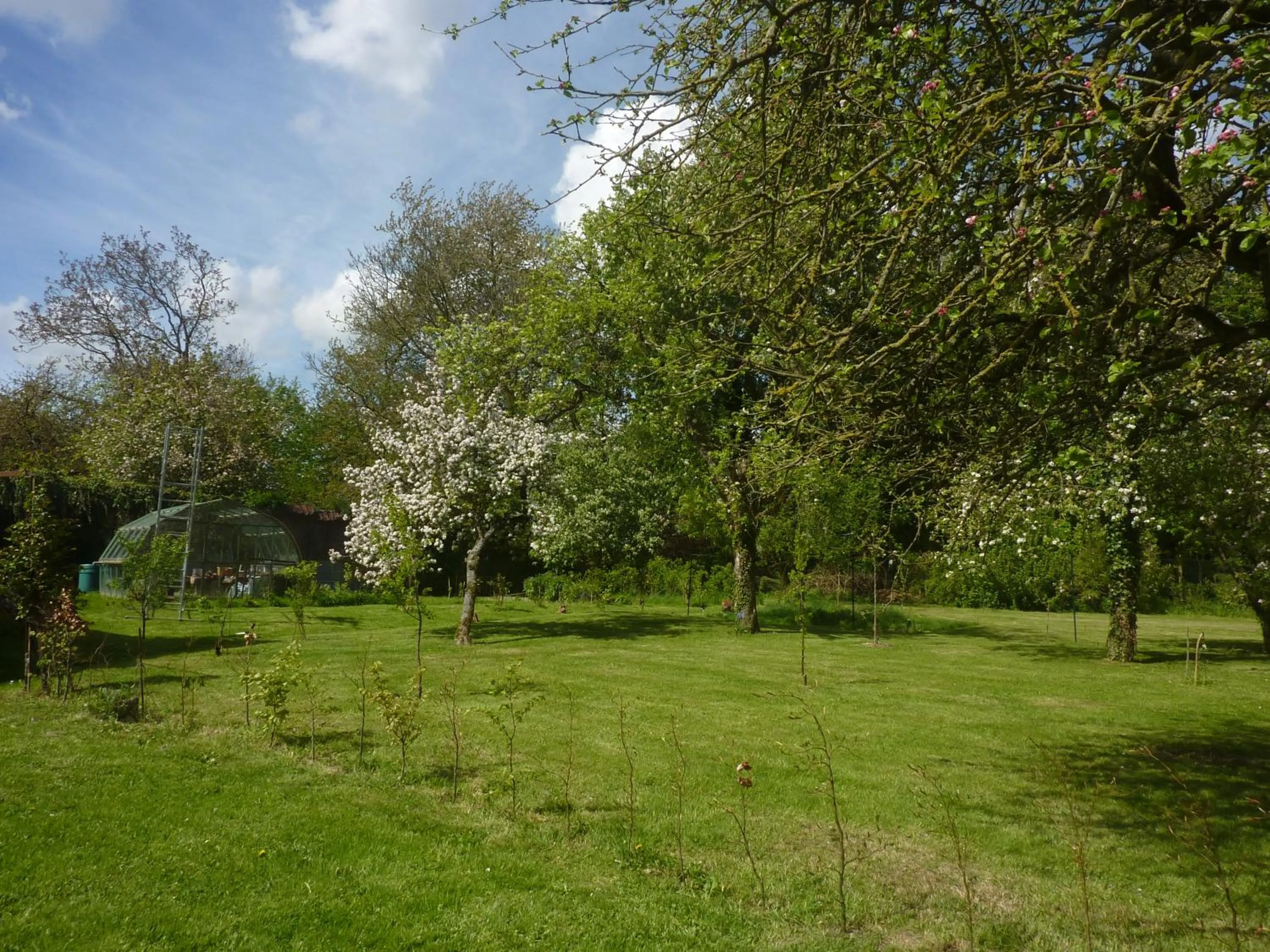 Garden in Les chambres des Demoiselles