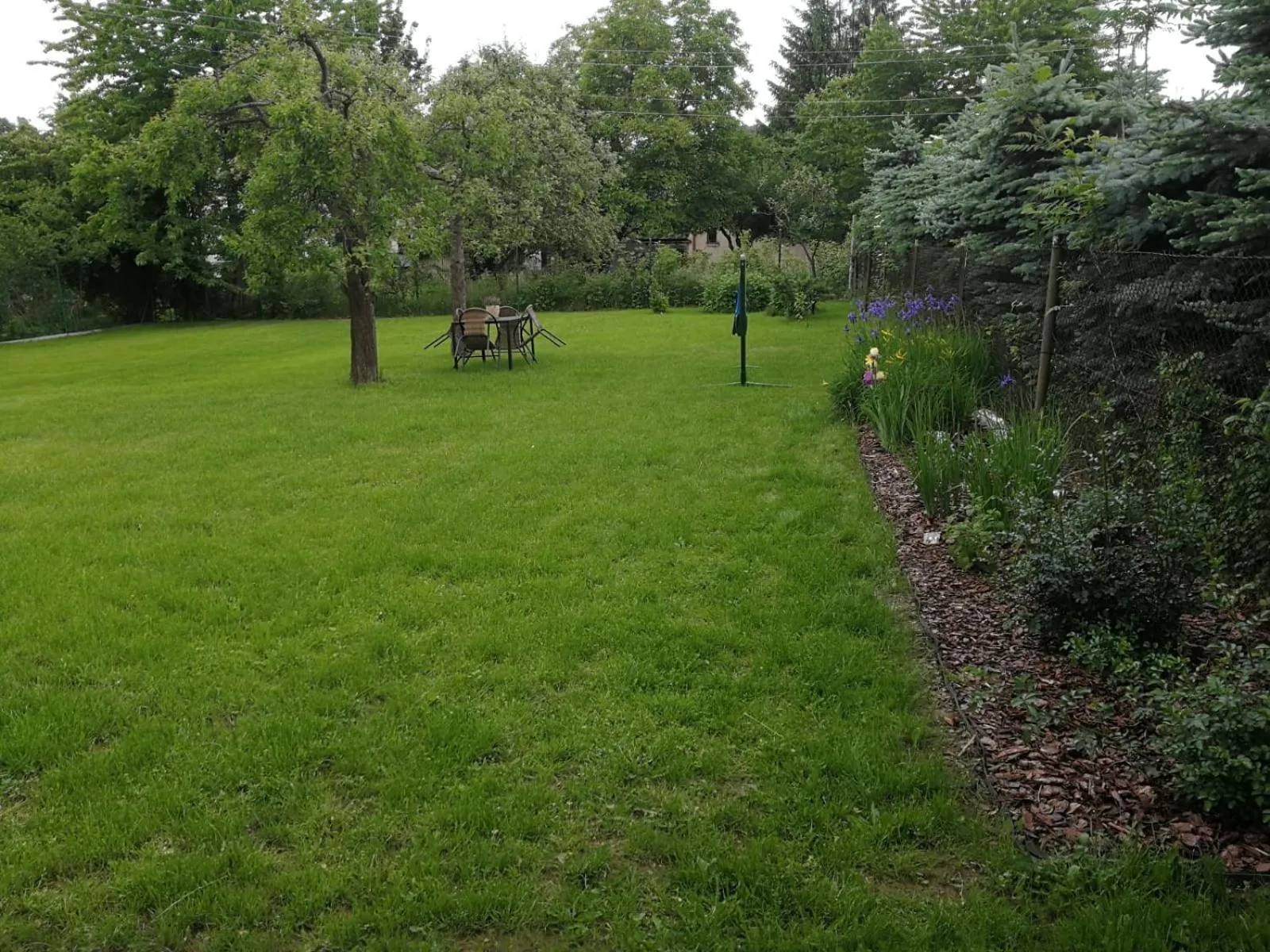 Garden view in Apartament Malwina