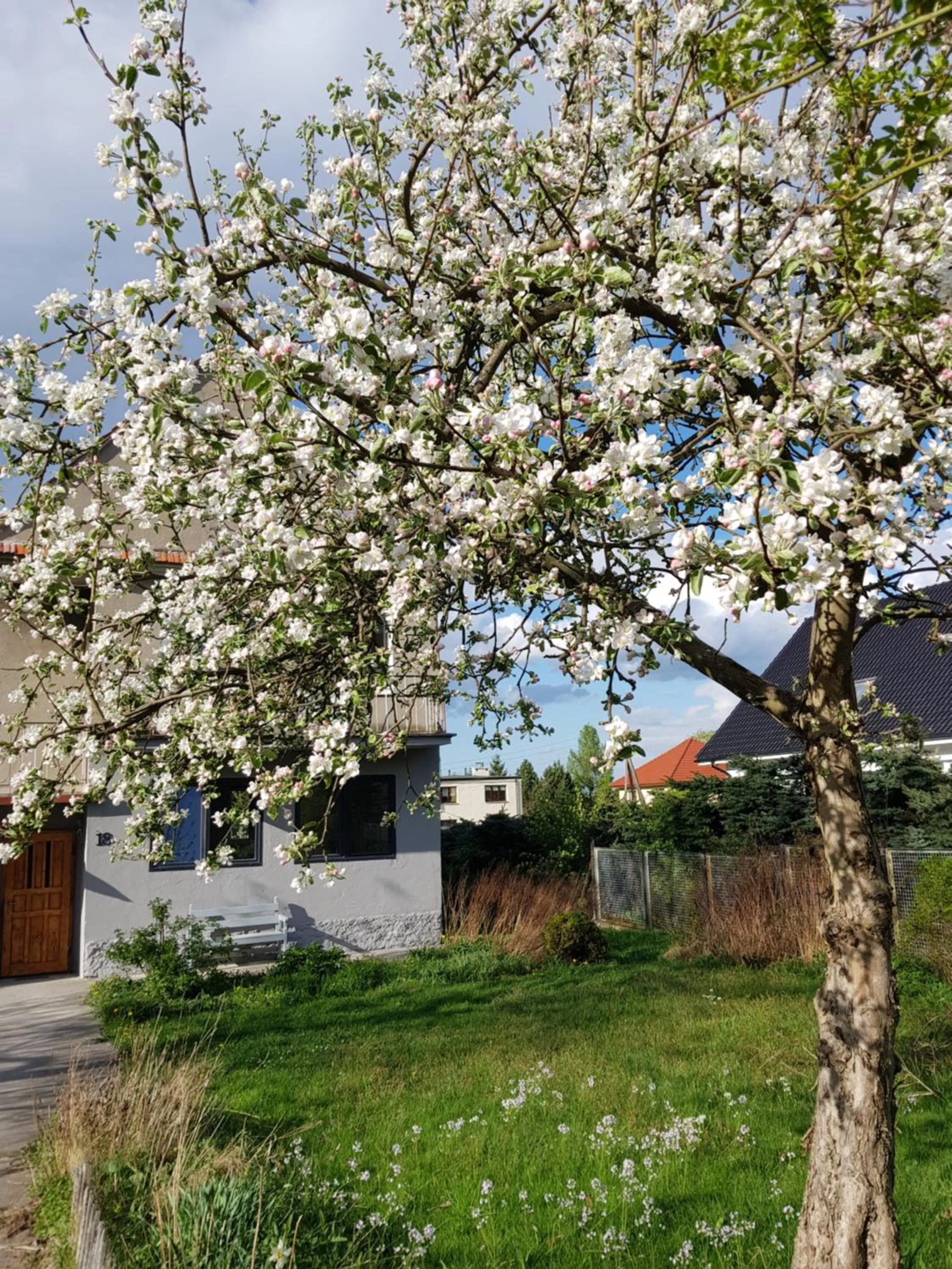 Garden in Apartament Malwina